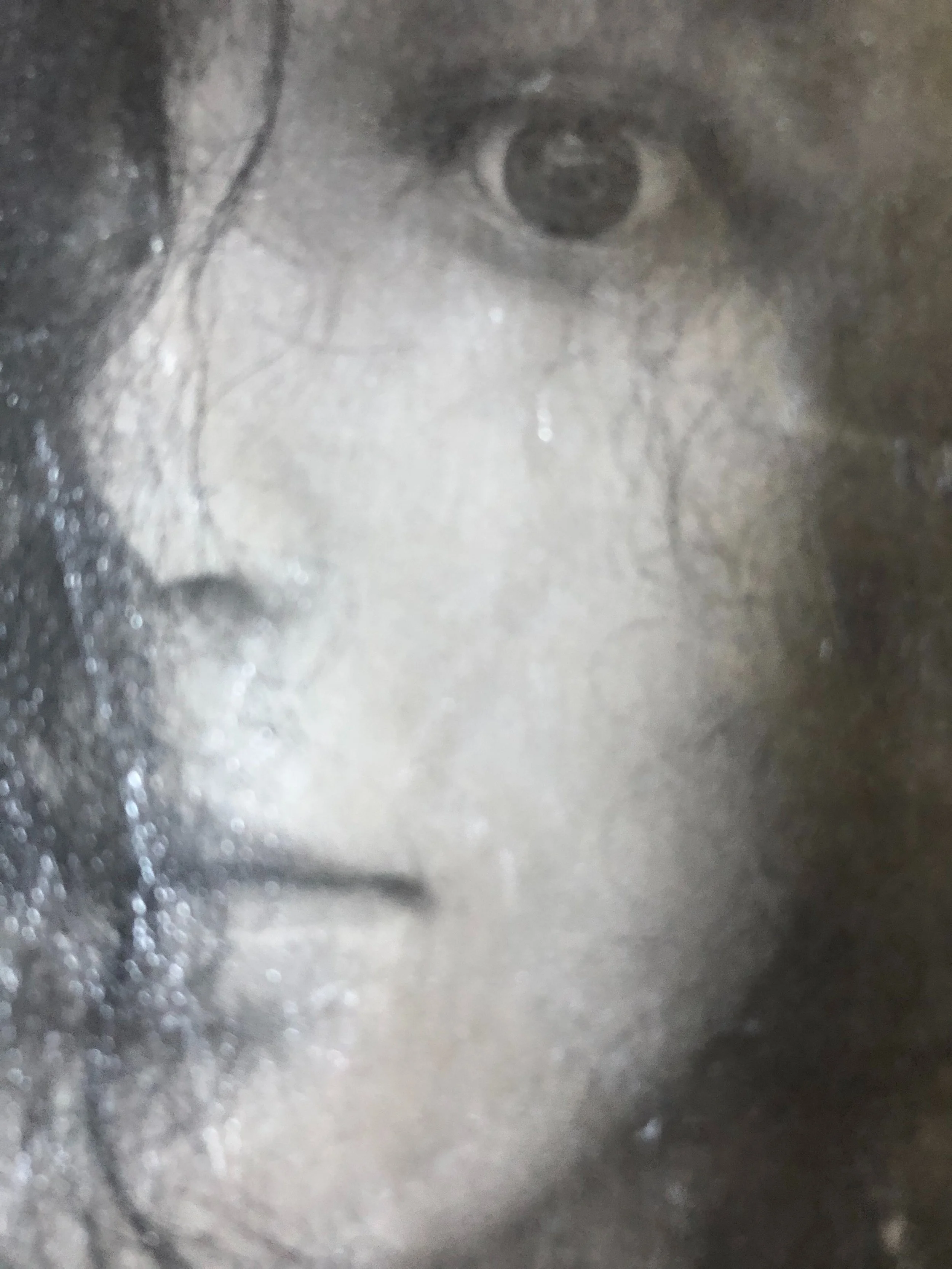 Polliantha Tuberesa (photograph)