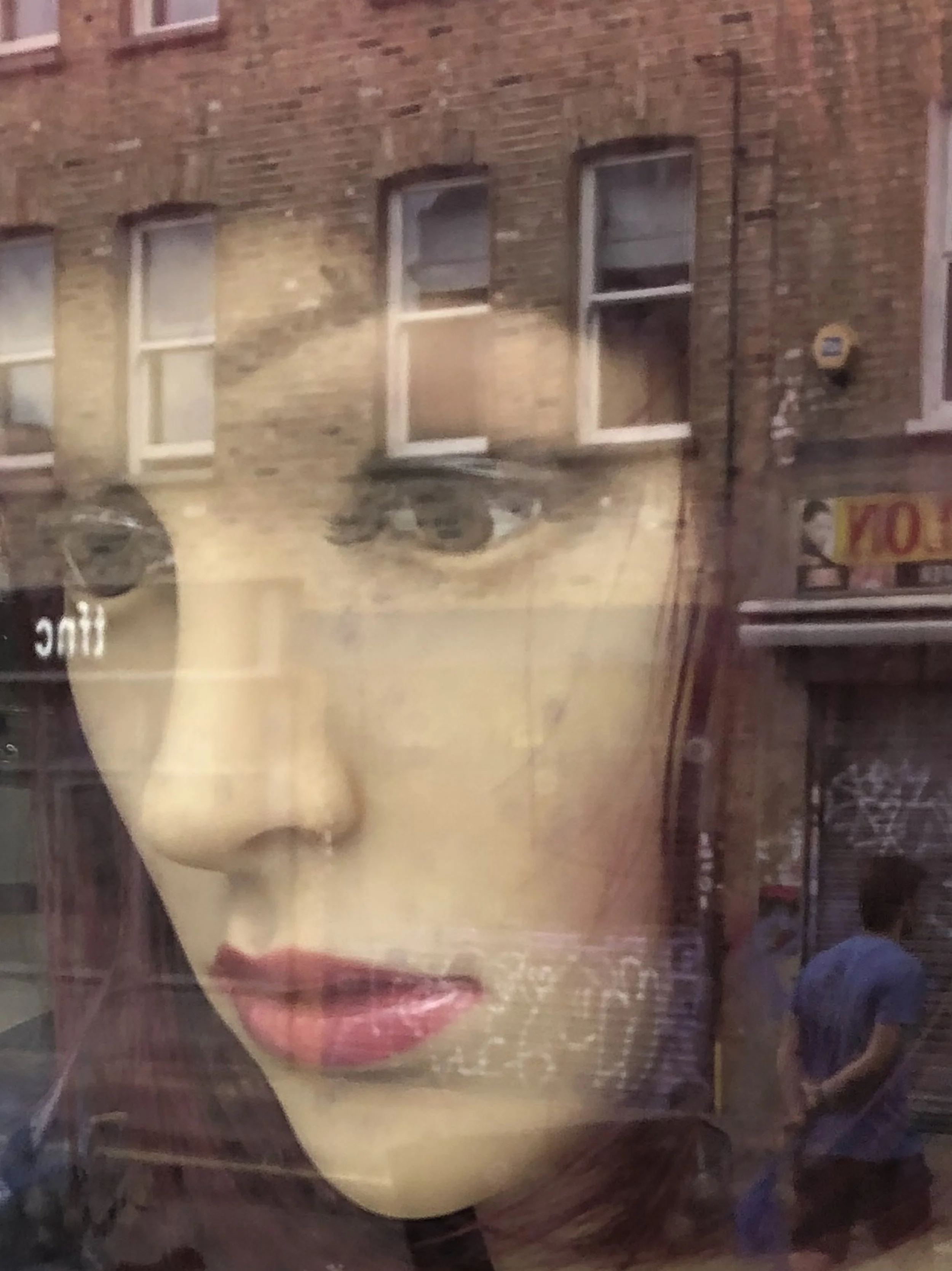 Dahlia Marie Antoinette (photograph