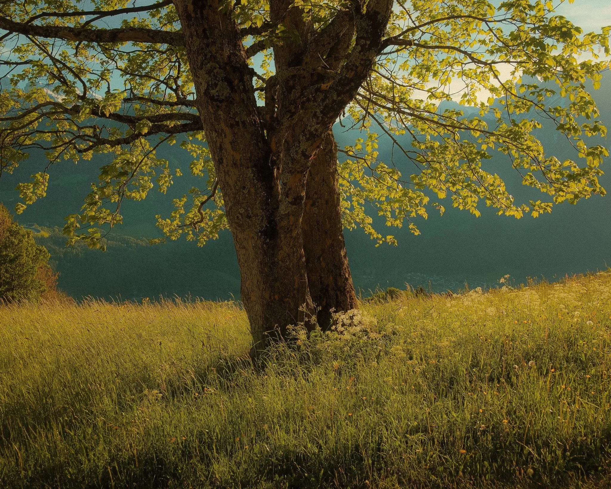 DSCF5979.jpg