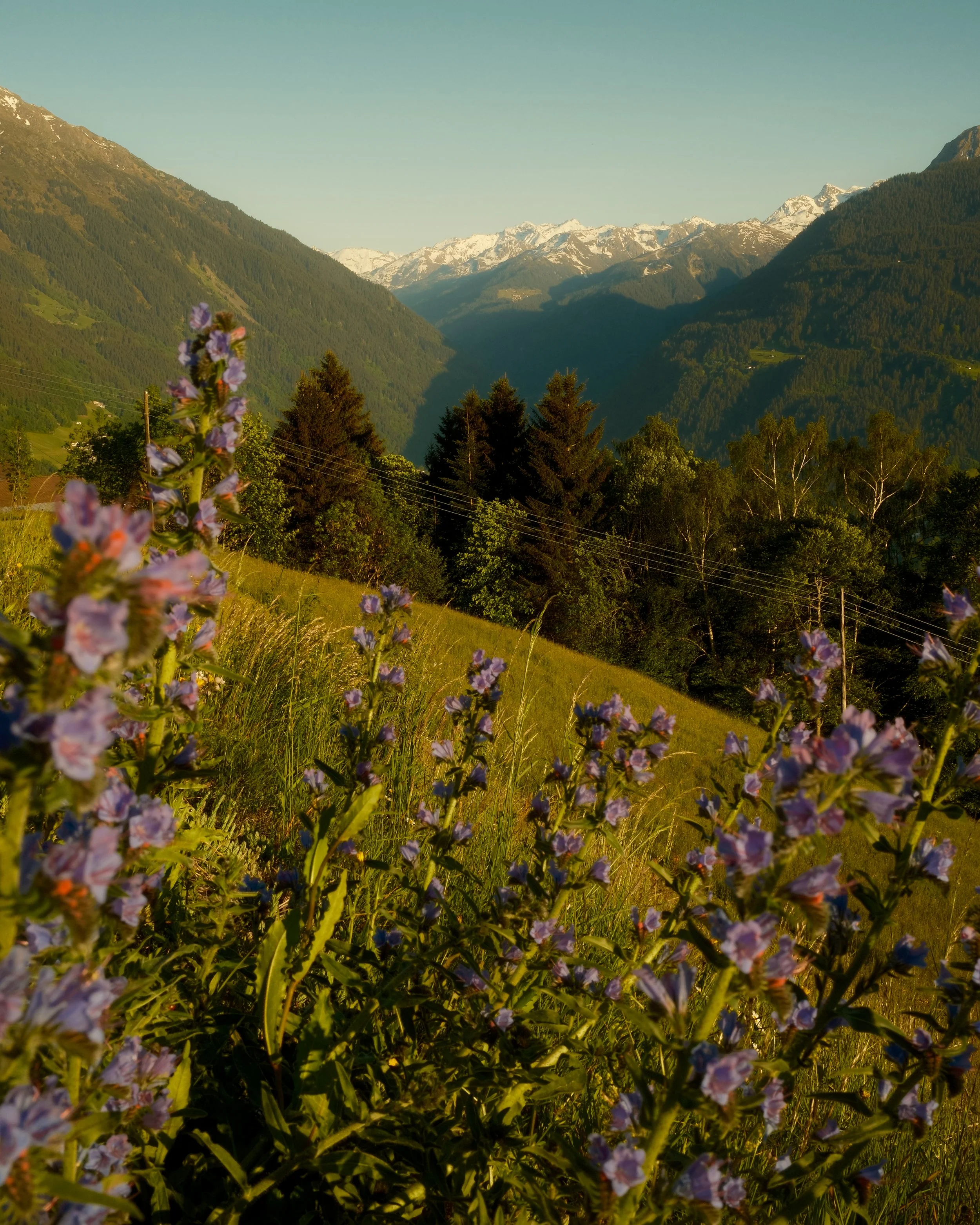 DSCF6643.jpg