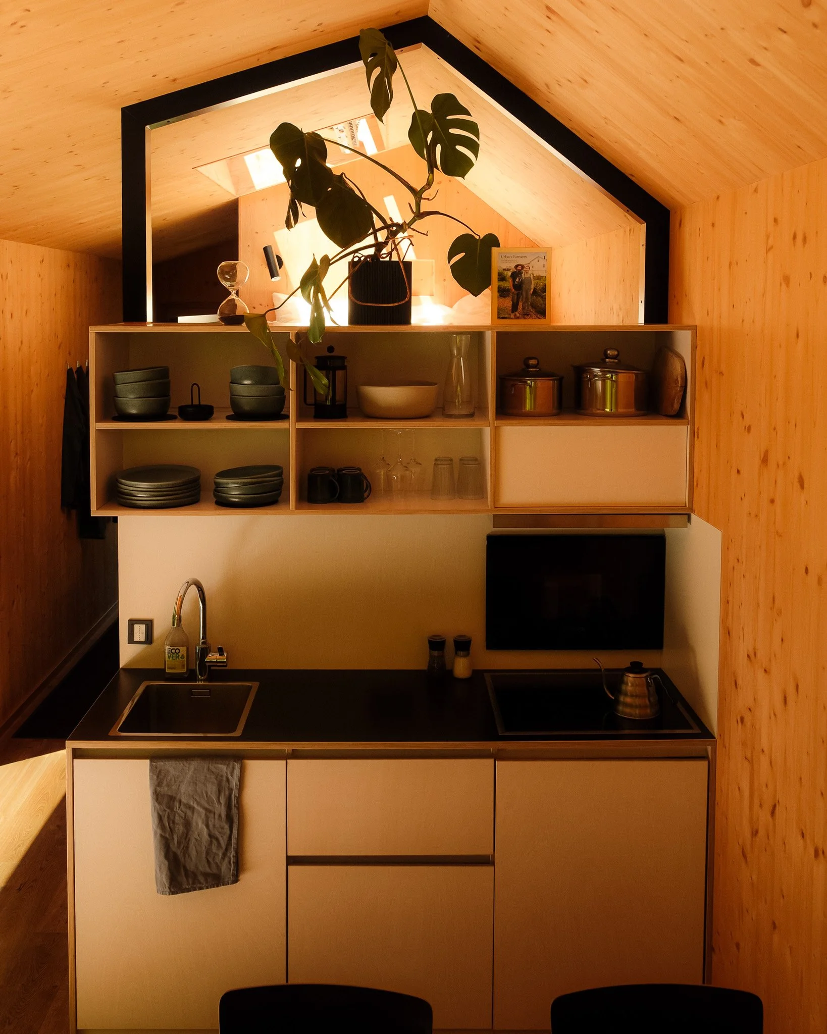 DSCF5848.jpg