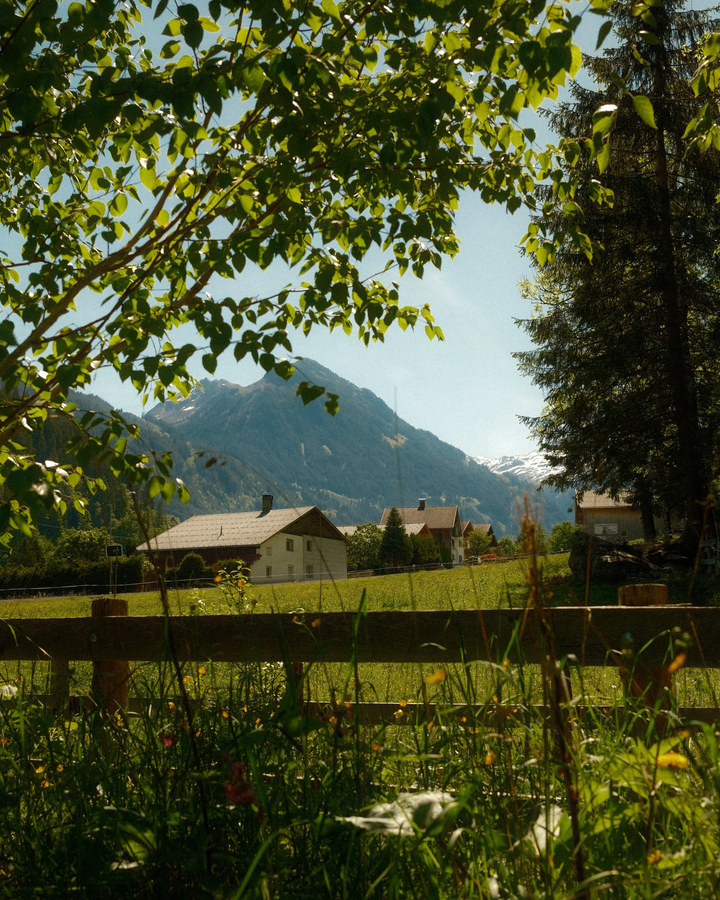 DSCF6396.jpg