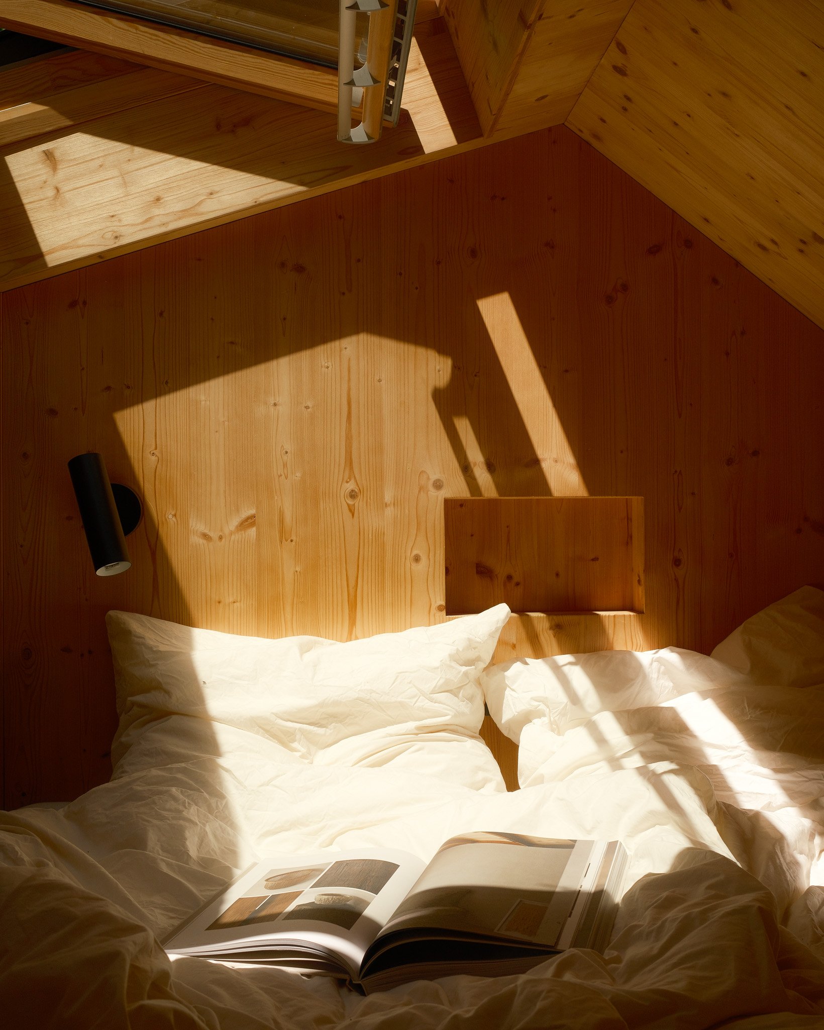 DSCF6509.jpg
