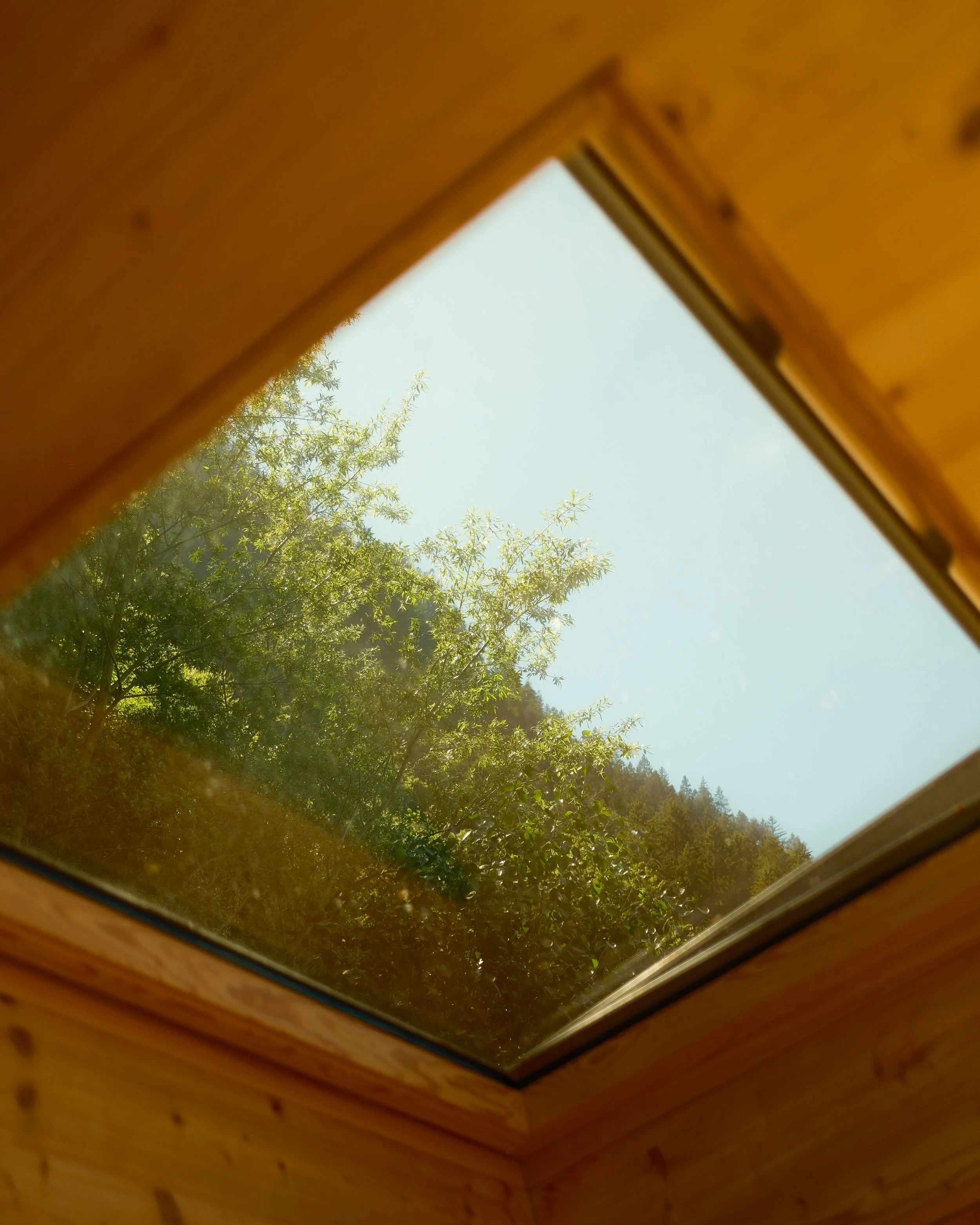 DSCF6545.jpg