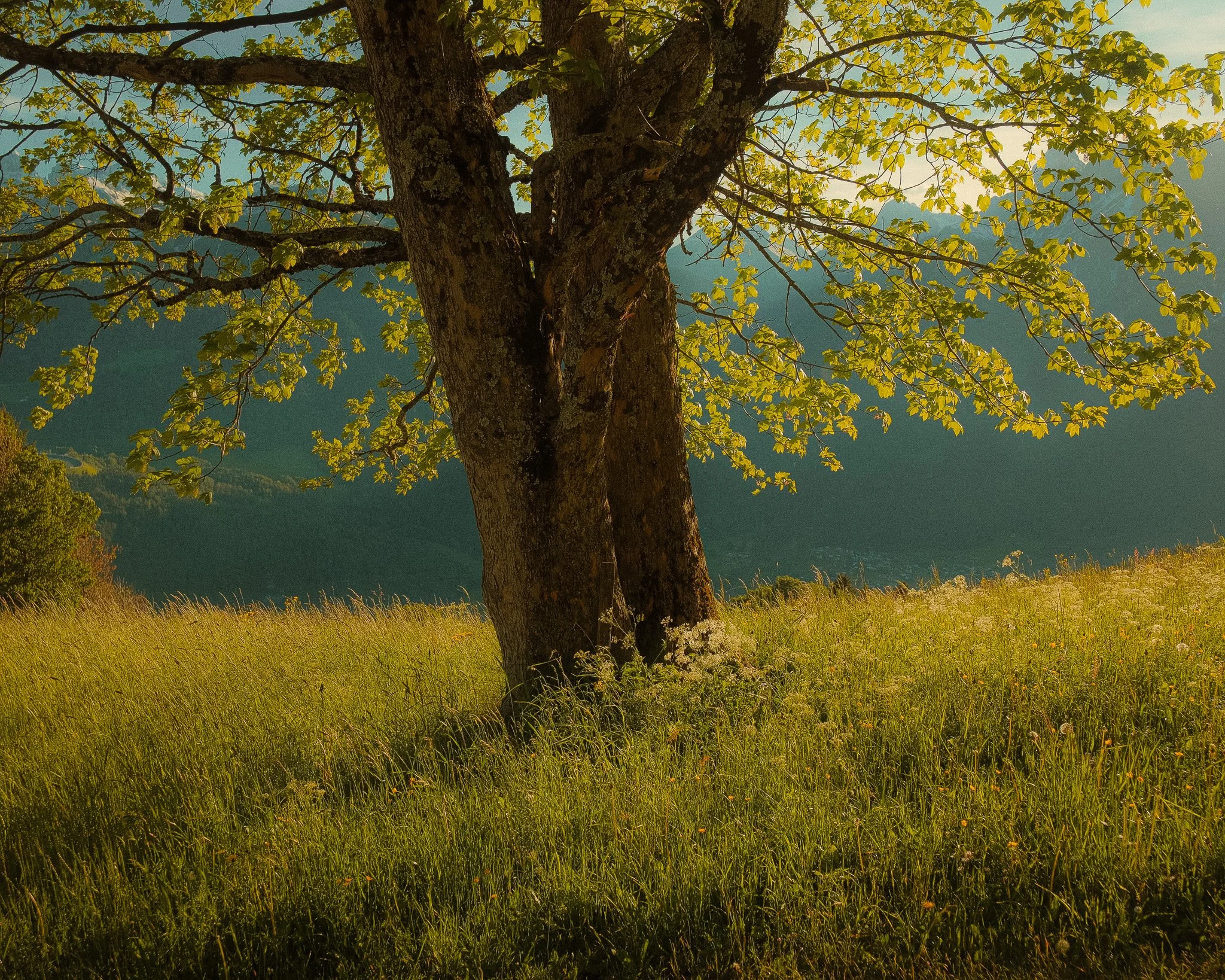 DSCF5979.jpg
