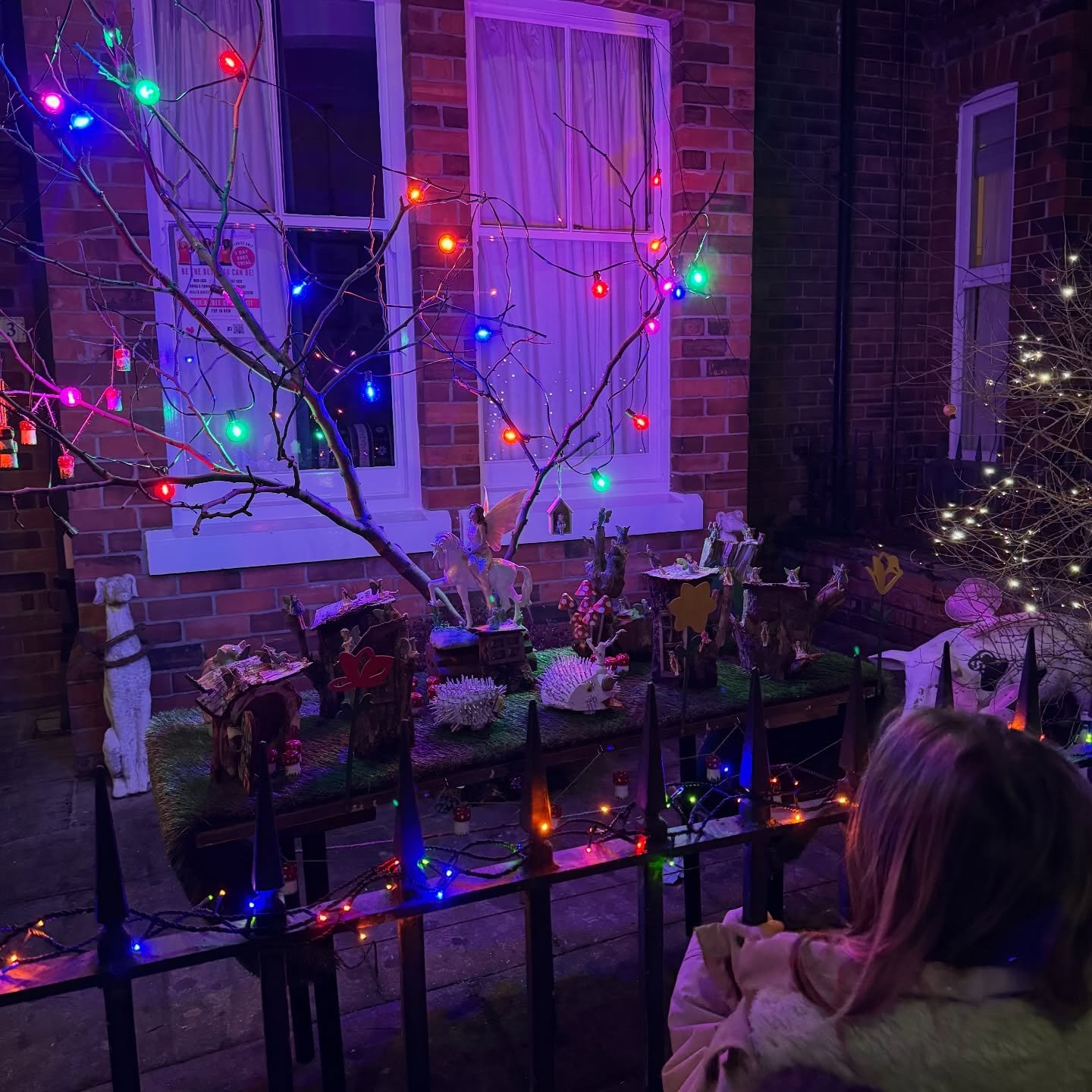 A little night time sparkle in HU5! We just love a little evening wonder to look at some of the fairies.