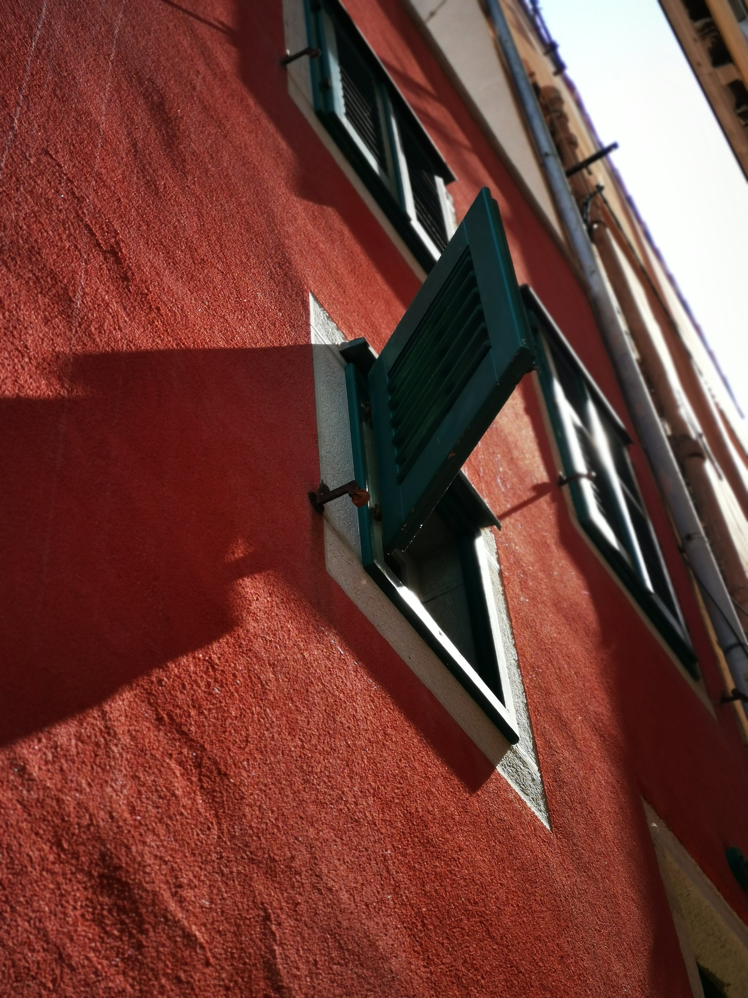 IMG_20220828_140258.jpg