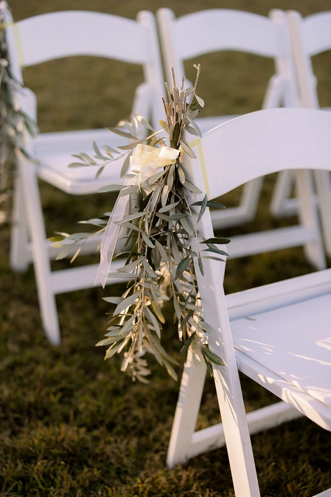 Wylde Folk -6037.jpg