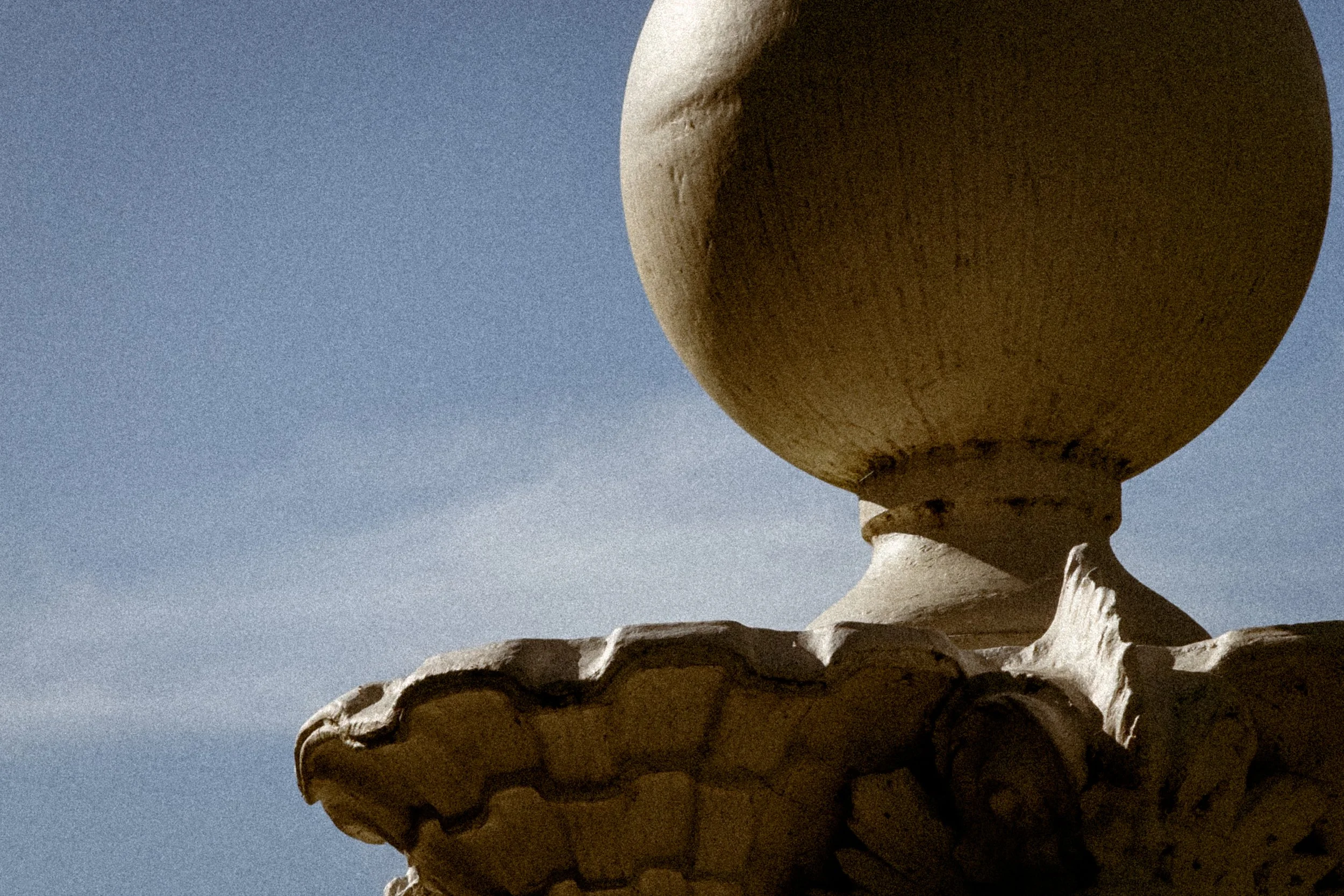 What to Do in the Geelong Botanic Gardens: Coffee, Walks and Hidden Spots