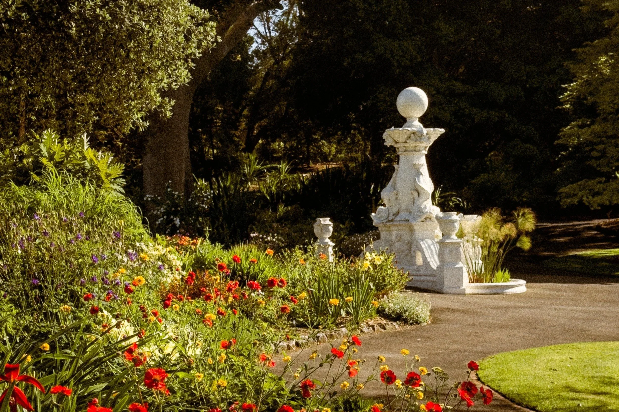 Hitchcock Fountain - Geelong Botanic Gardens. originally installed in Market Square in 1904 before being relocated to the Gardens in the early 20th century