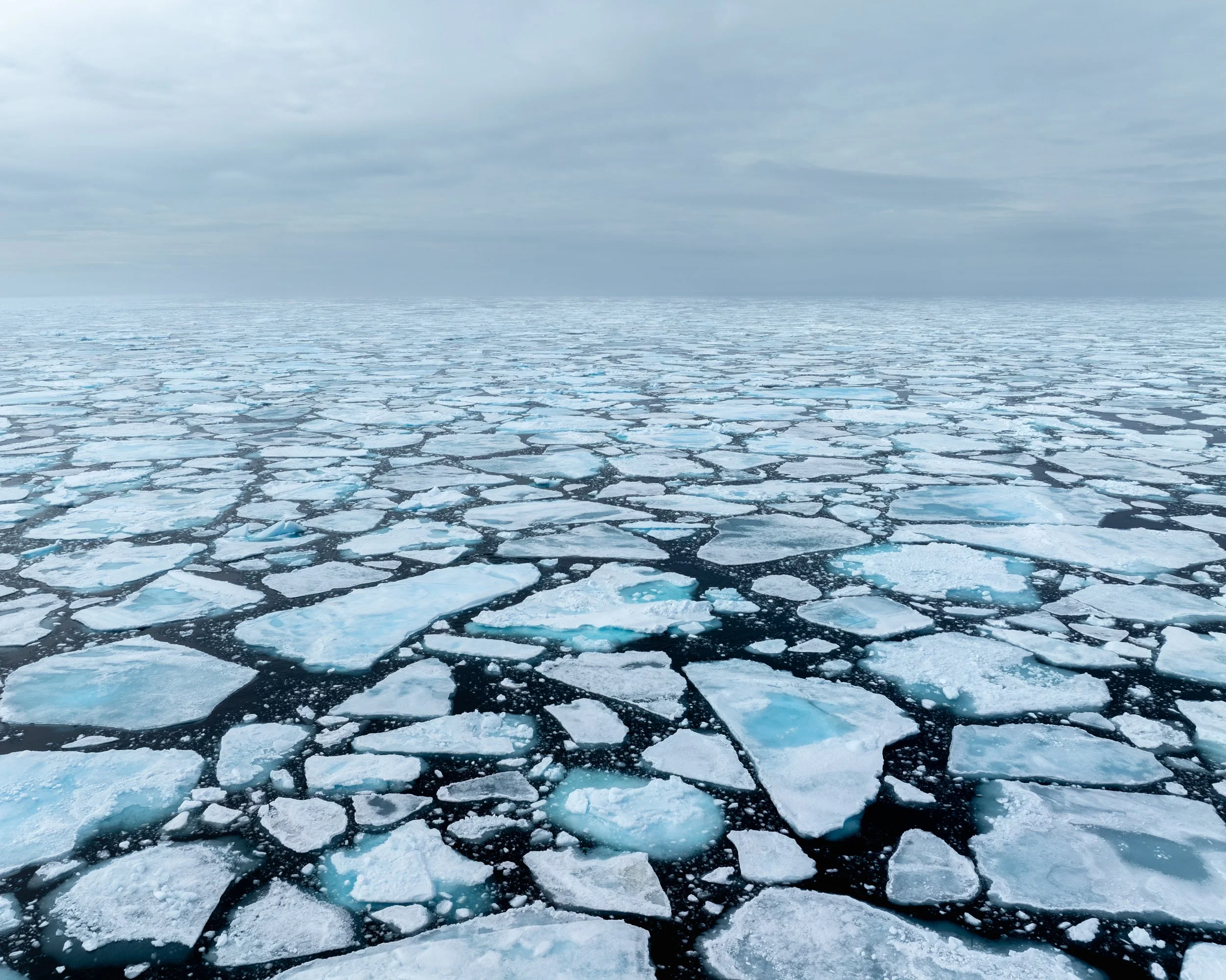 SeaIce.jpg