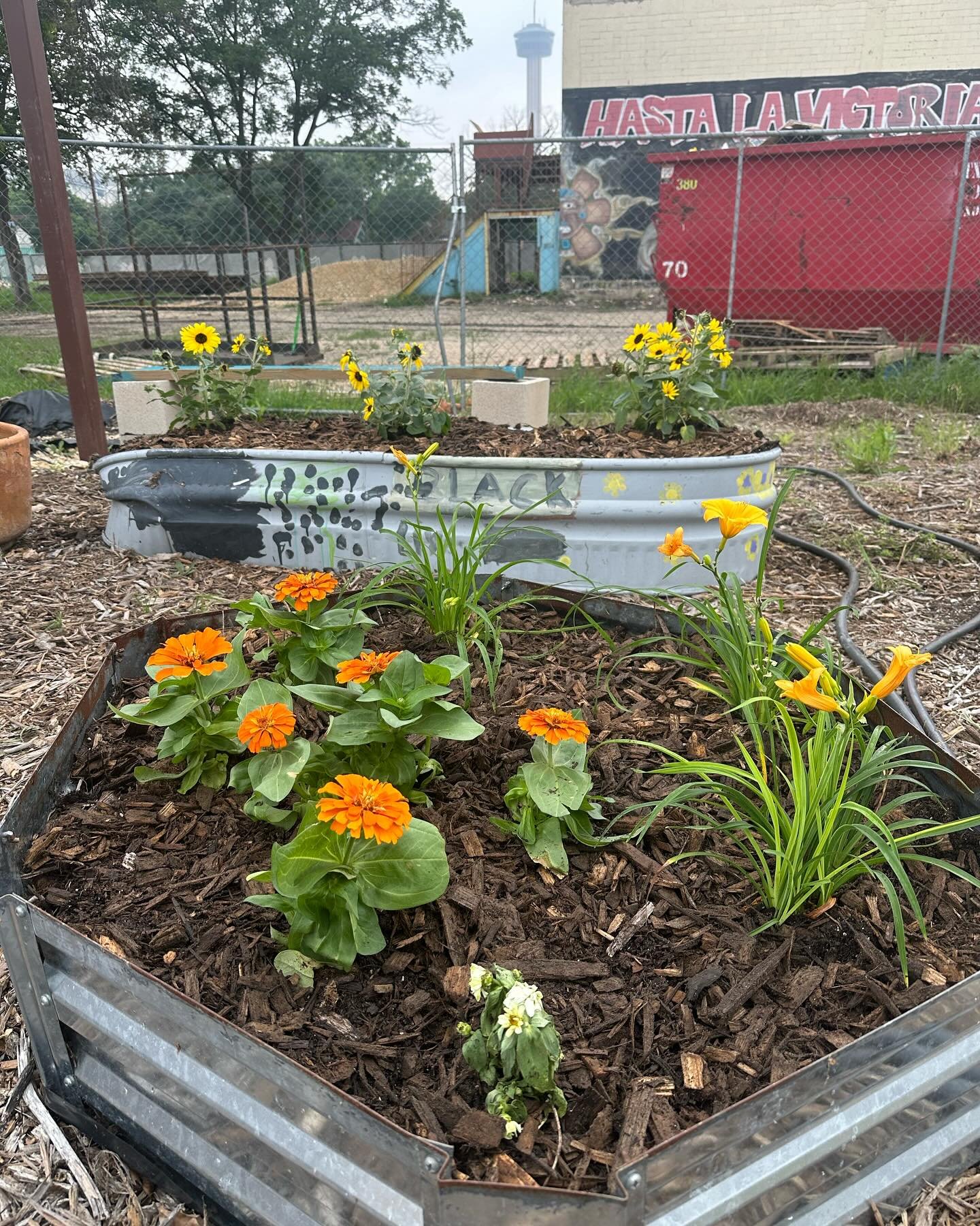 Thanks to the amazing volunteers who came to our garden workday yesterday! We were able to spruce up our space with new plants and soil just in time for our anniversary celebration next Saturday on May 18th 🌱
