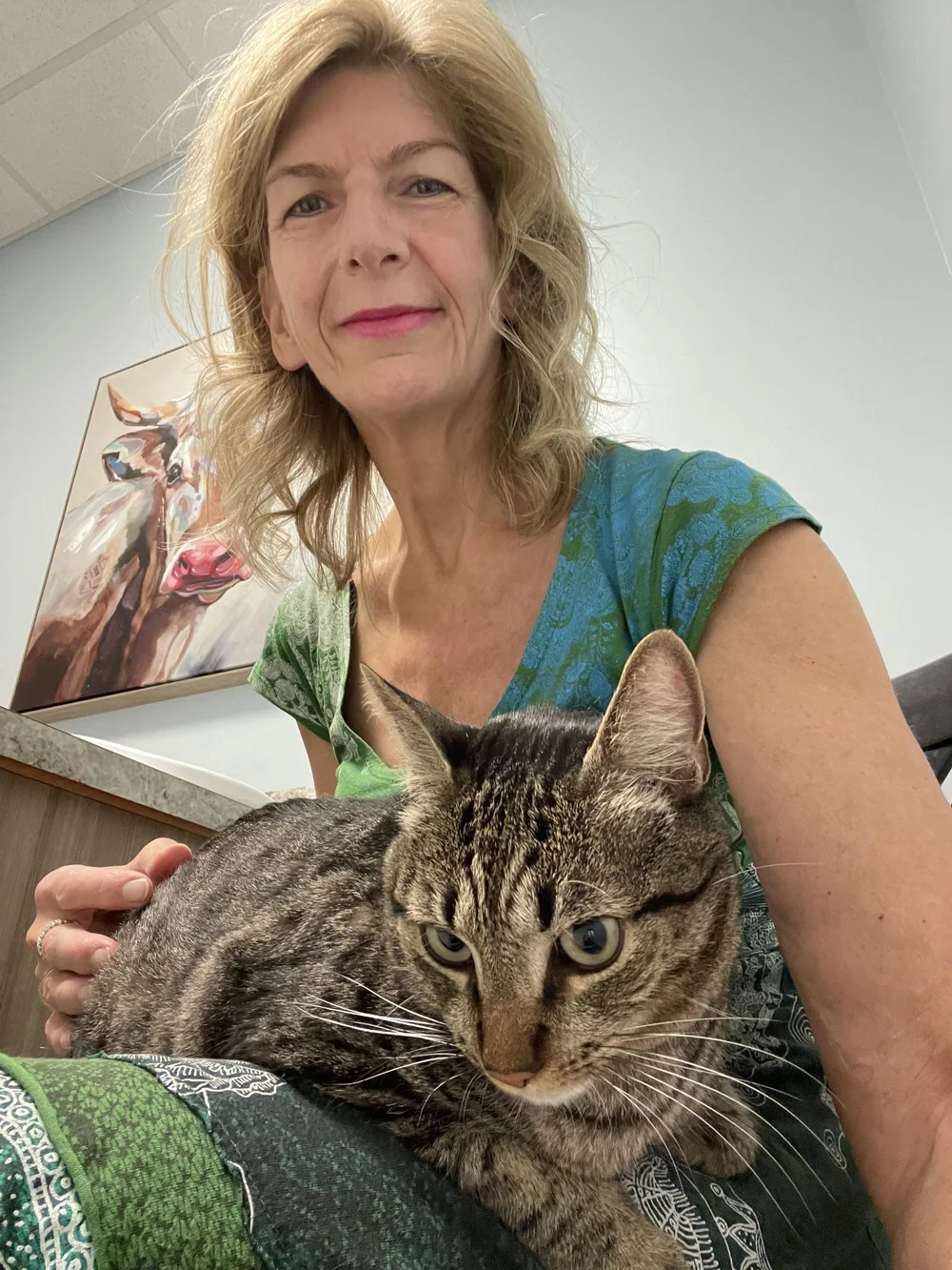 Team 1 — The Cat Ranch