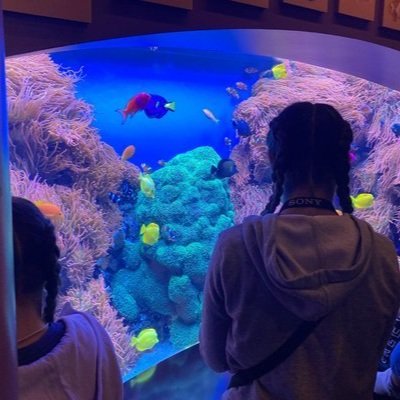 (June 2024) Monterey Bay Aquarium