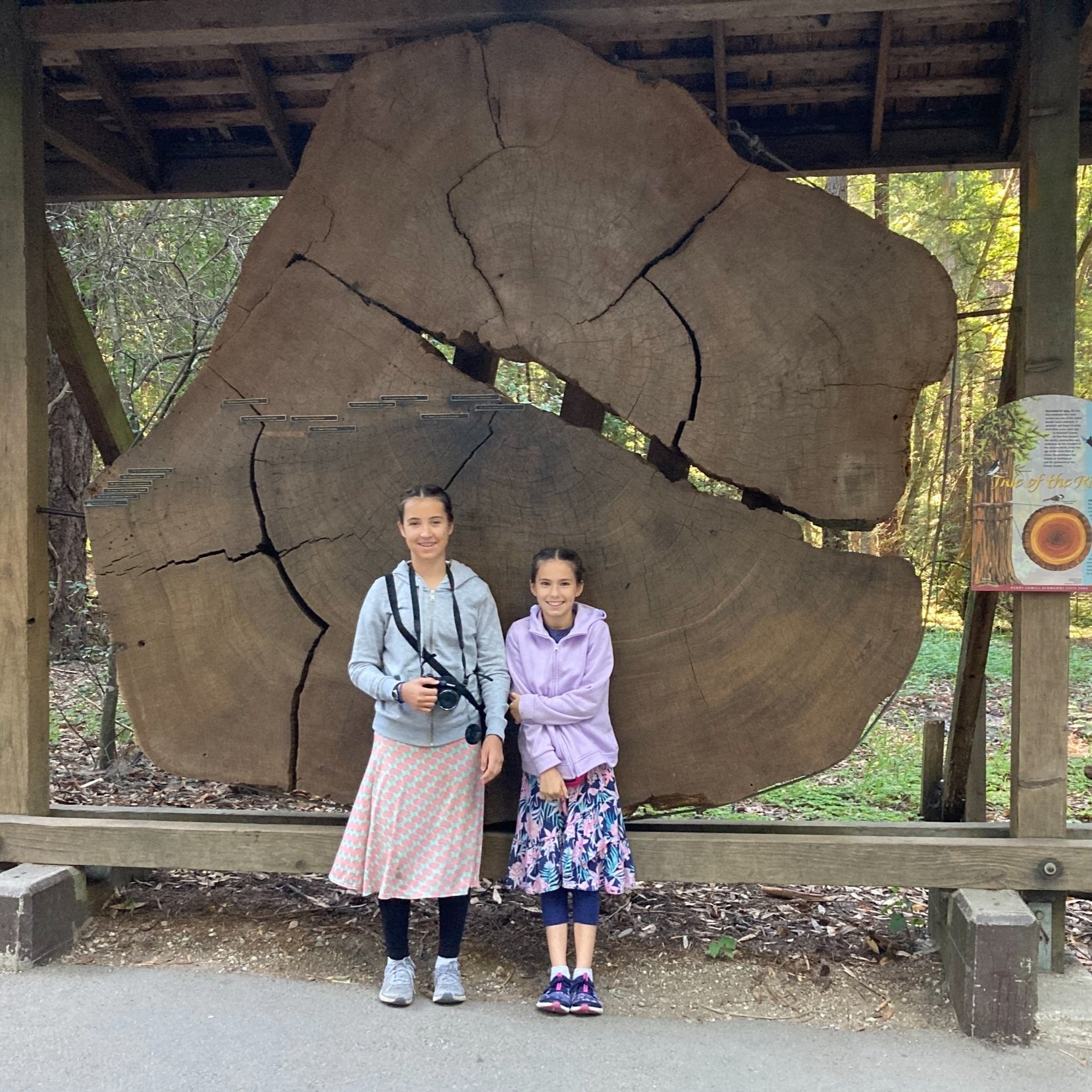 (June 2024) Henry Cowell Redwoods State Park