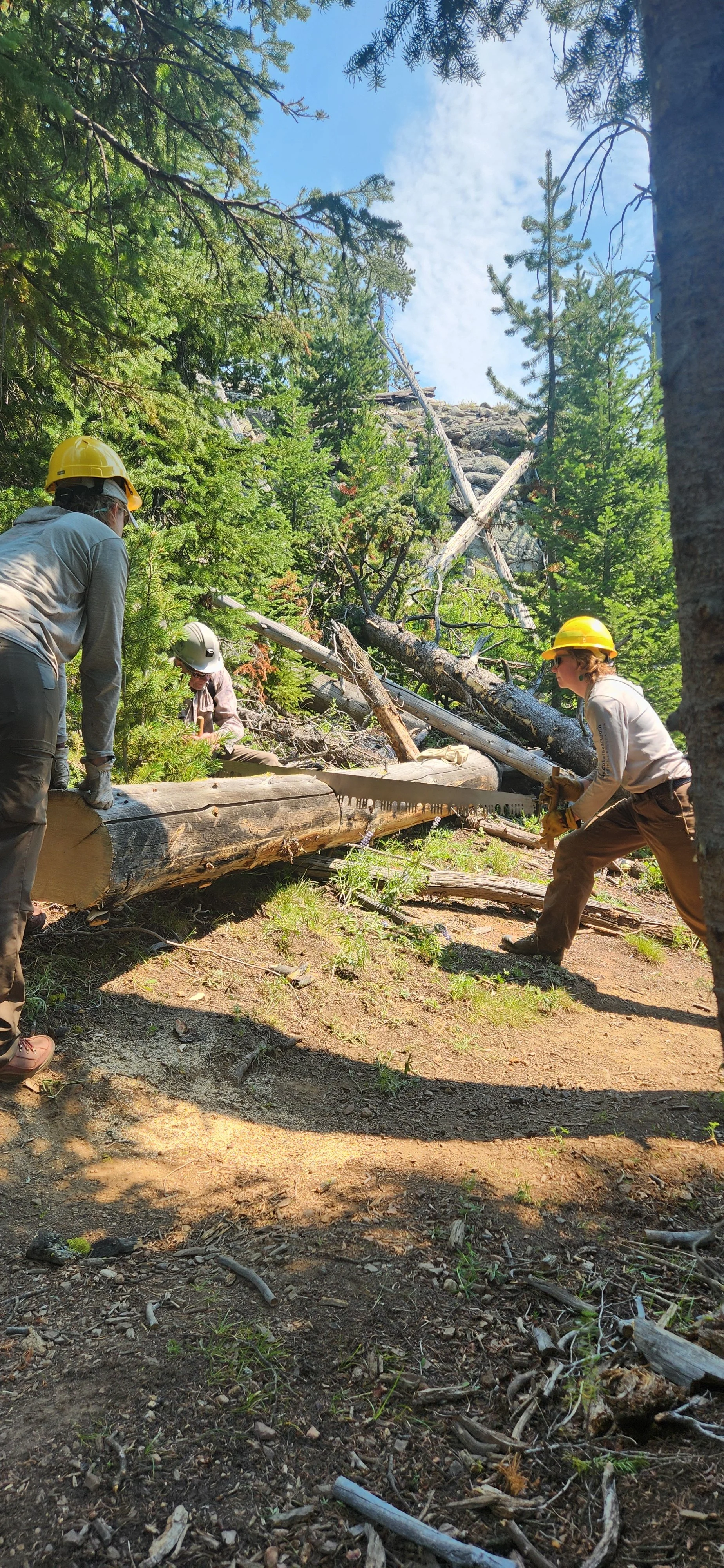 Upper Stillwater 2026 Work Amanda Punim.jpg