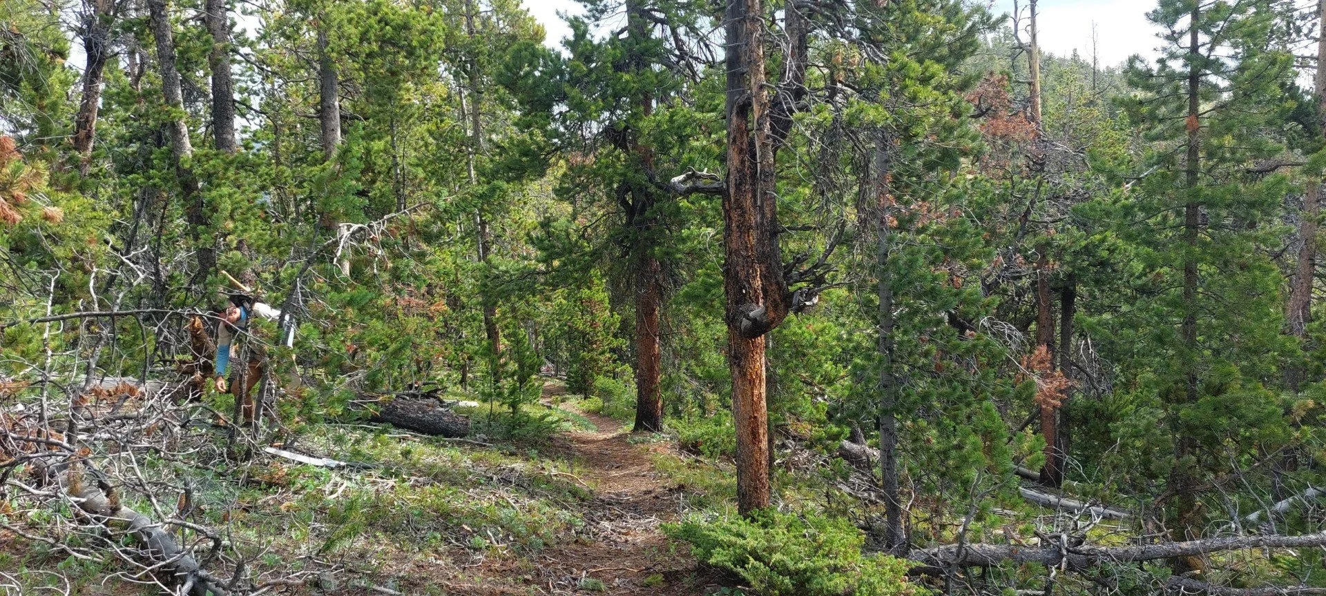 Red Lodge Public Lands Day