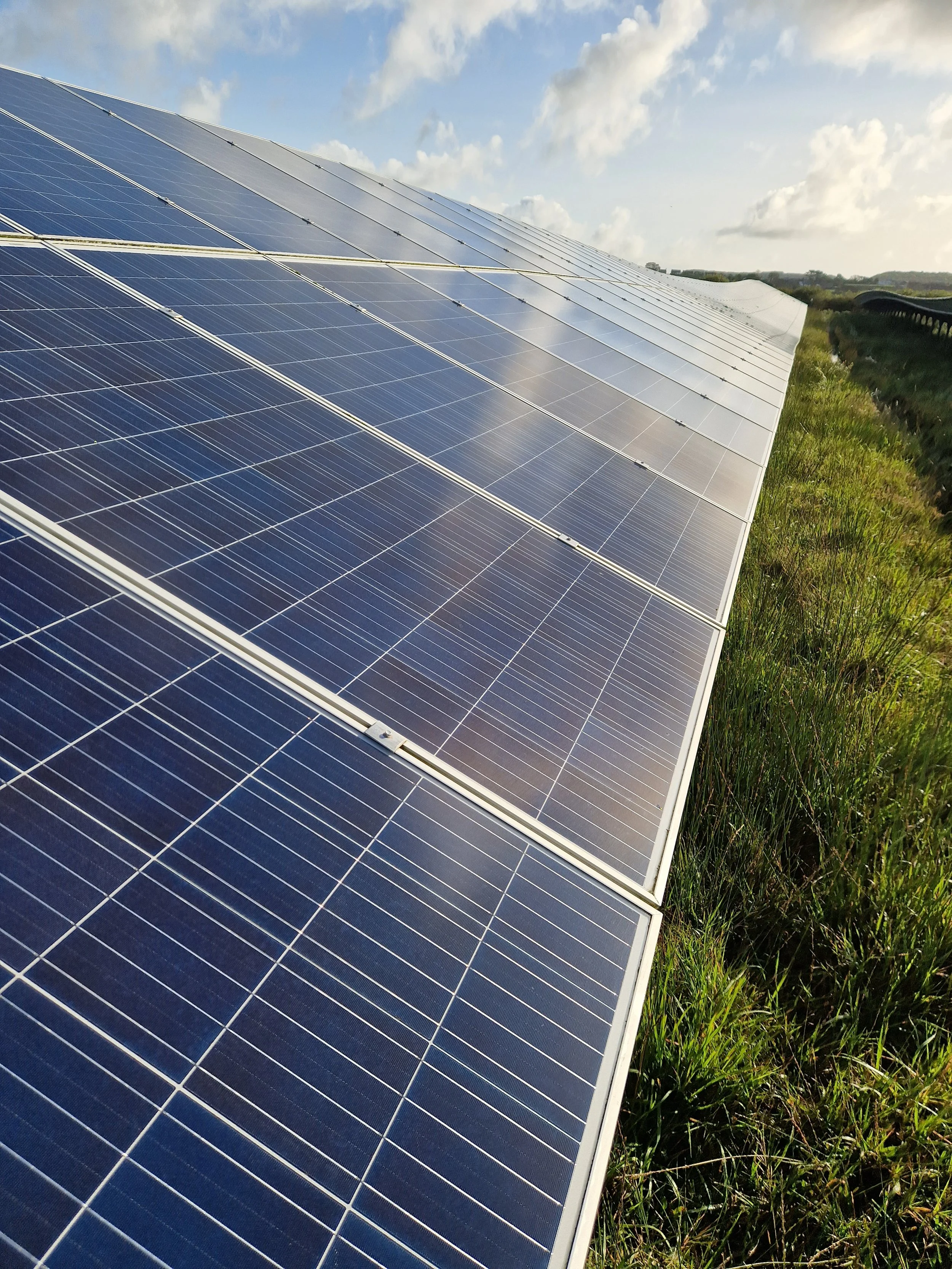 2023-10-03 09.52.14.jpg