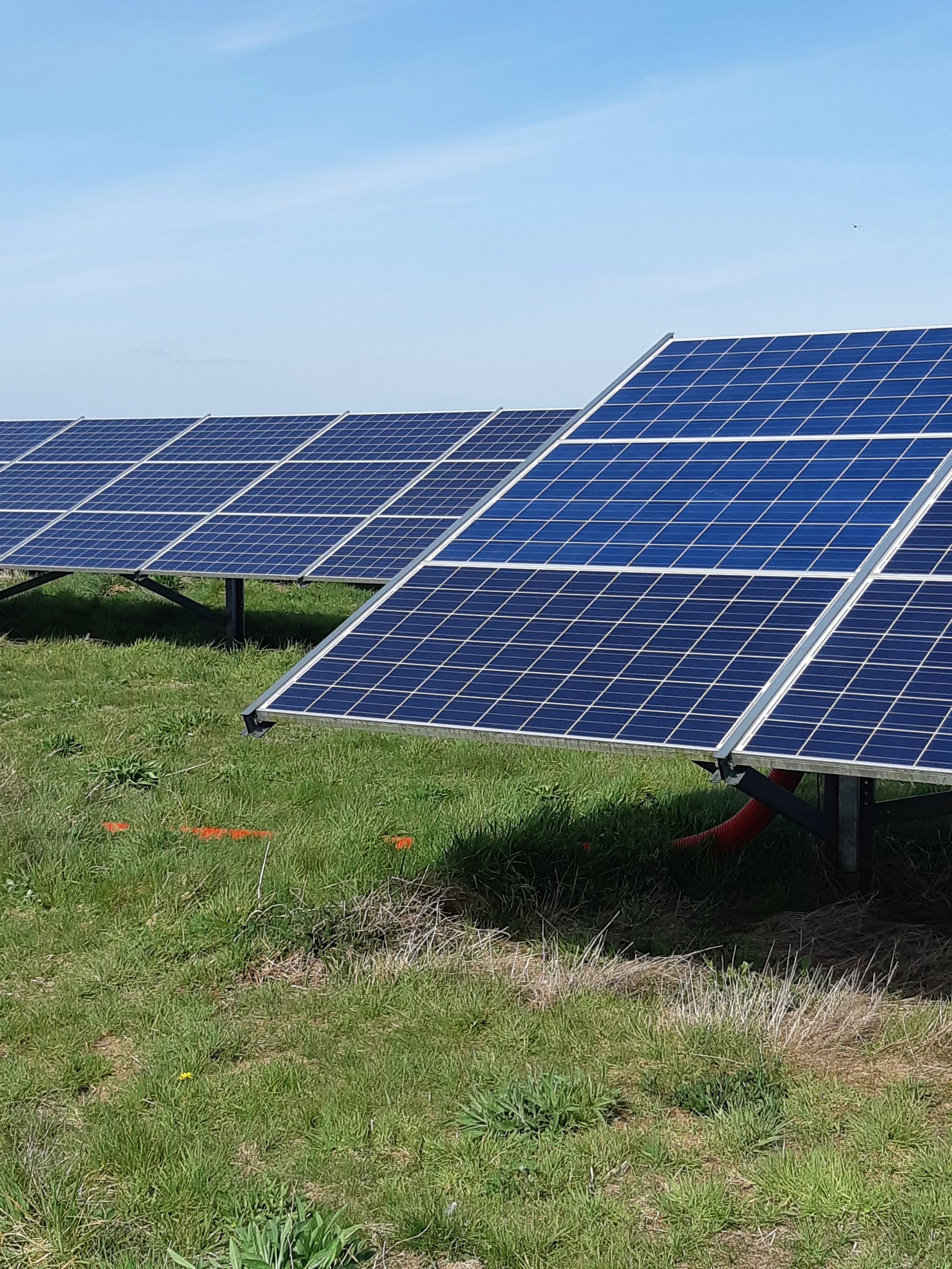 2020-04-07 12.58.58.jpg