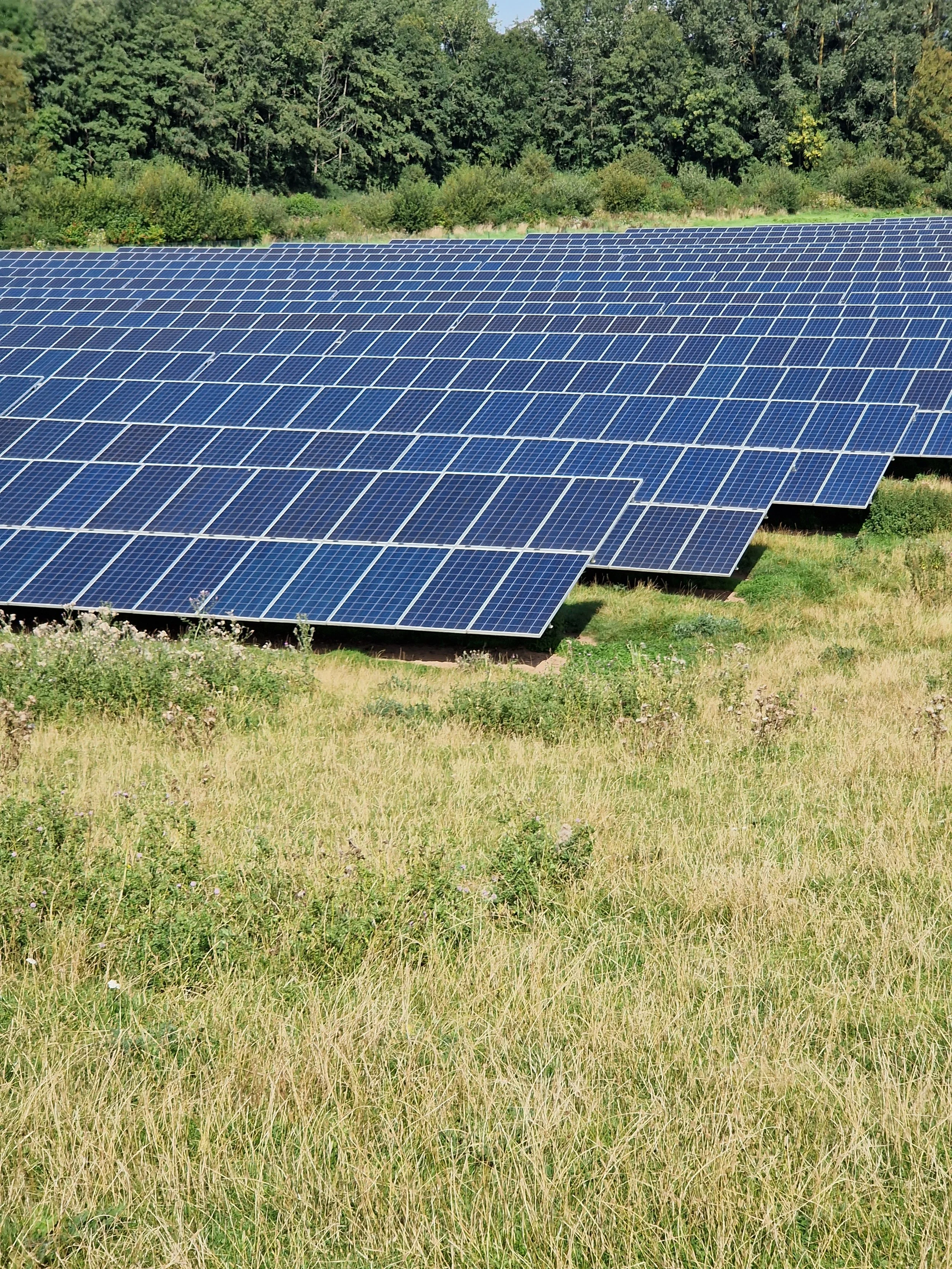 2023-09-03 11.38.15.jpg