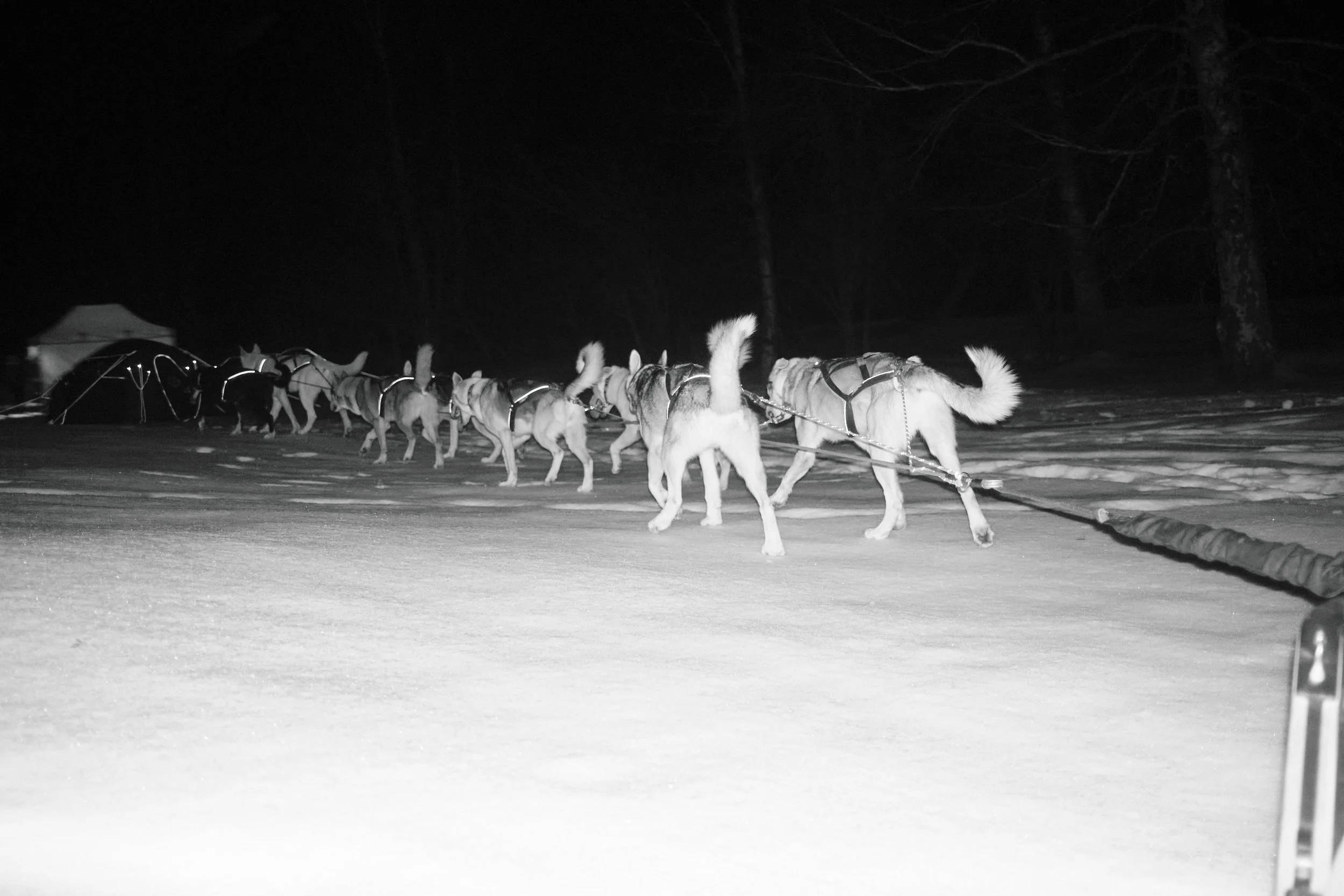 SAMAYA_GC_DSCF4153-Ice Ecrins.jpg