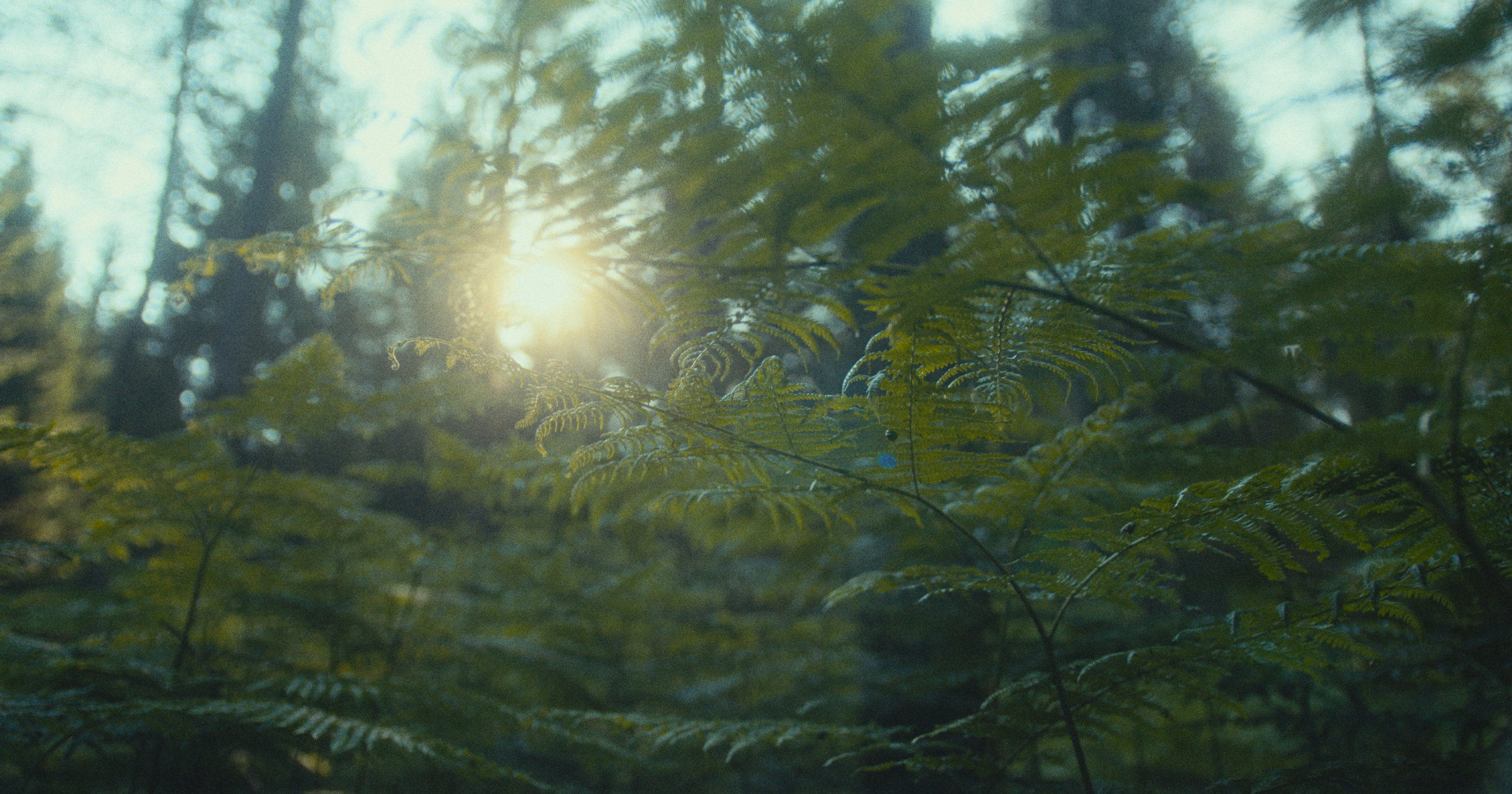 Capture d’écran 2023-08-16 à 13.07.50.png