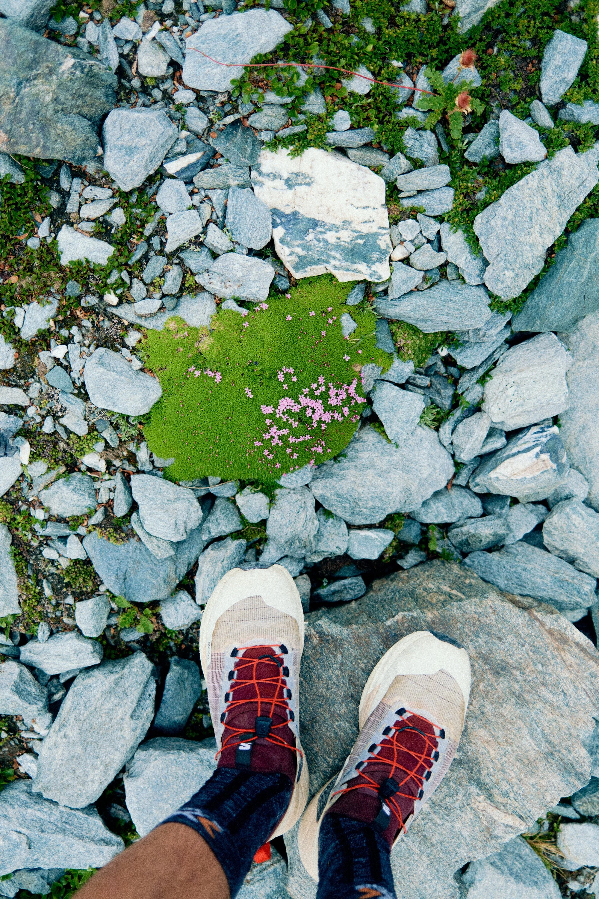 GC_driveLIGHT_Tour des Combins - Kilian _0 6.jpg