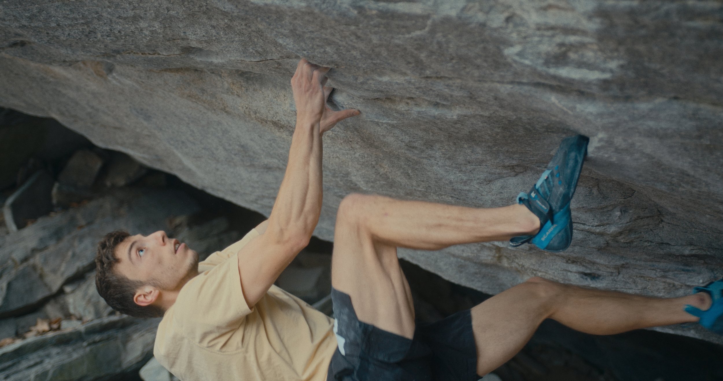 1.353.1_1.353.1 (1).jpg