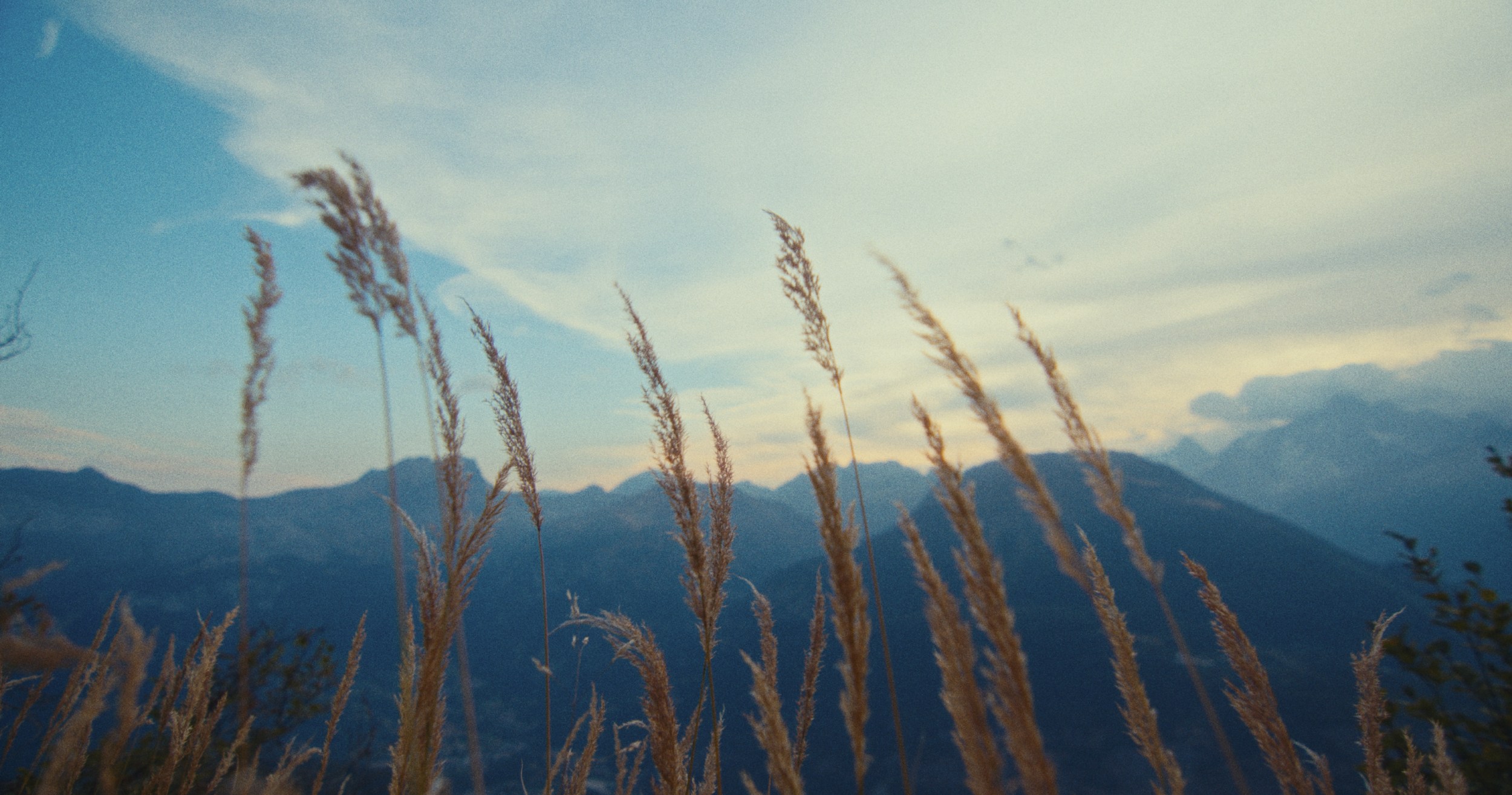 Capture d’écran 2023-08-16 à 13.12.29.png