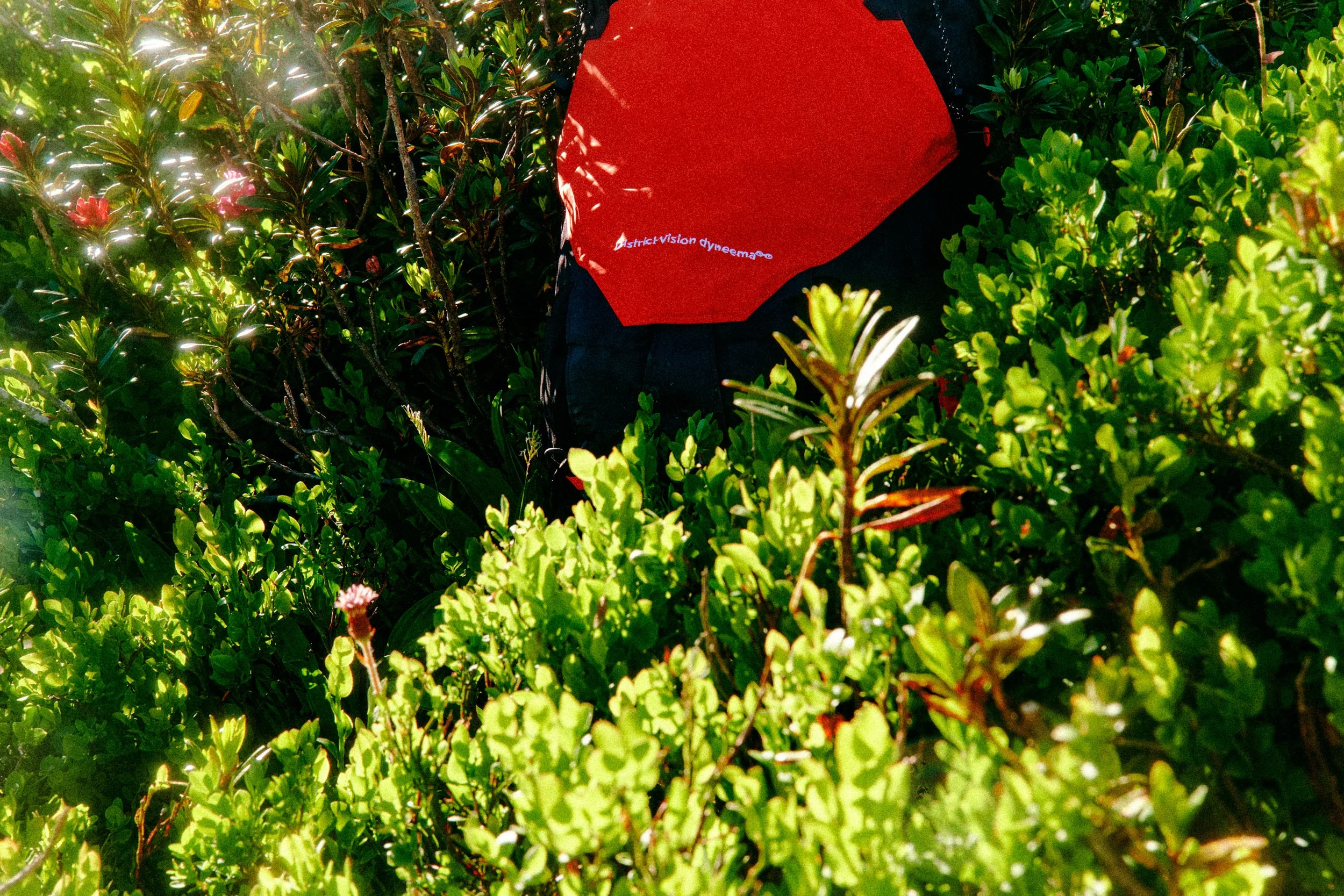 GC_driveLIGHT_Cham parapente sky running fg_0 3.jpg