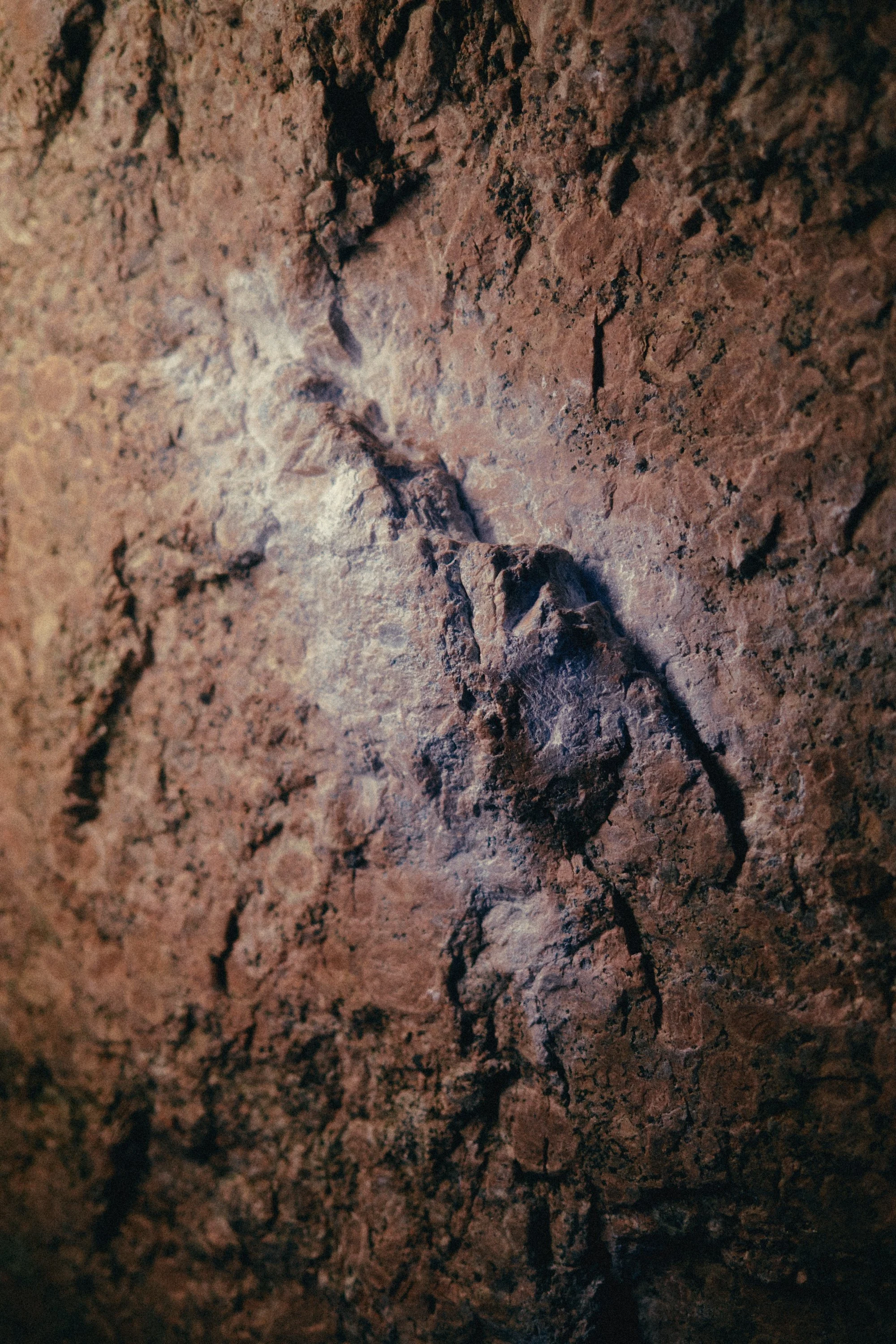 GC_driveLIGHT_BURDEN Photo _0 123.jpg