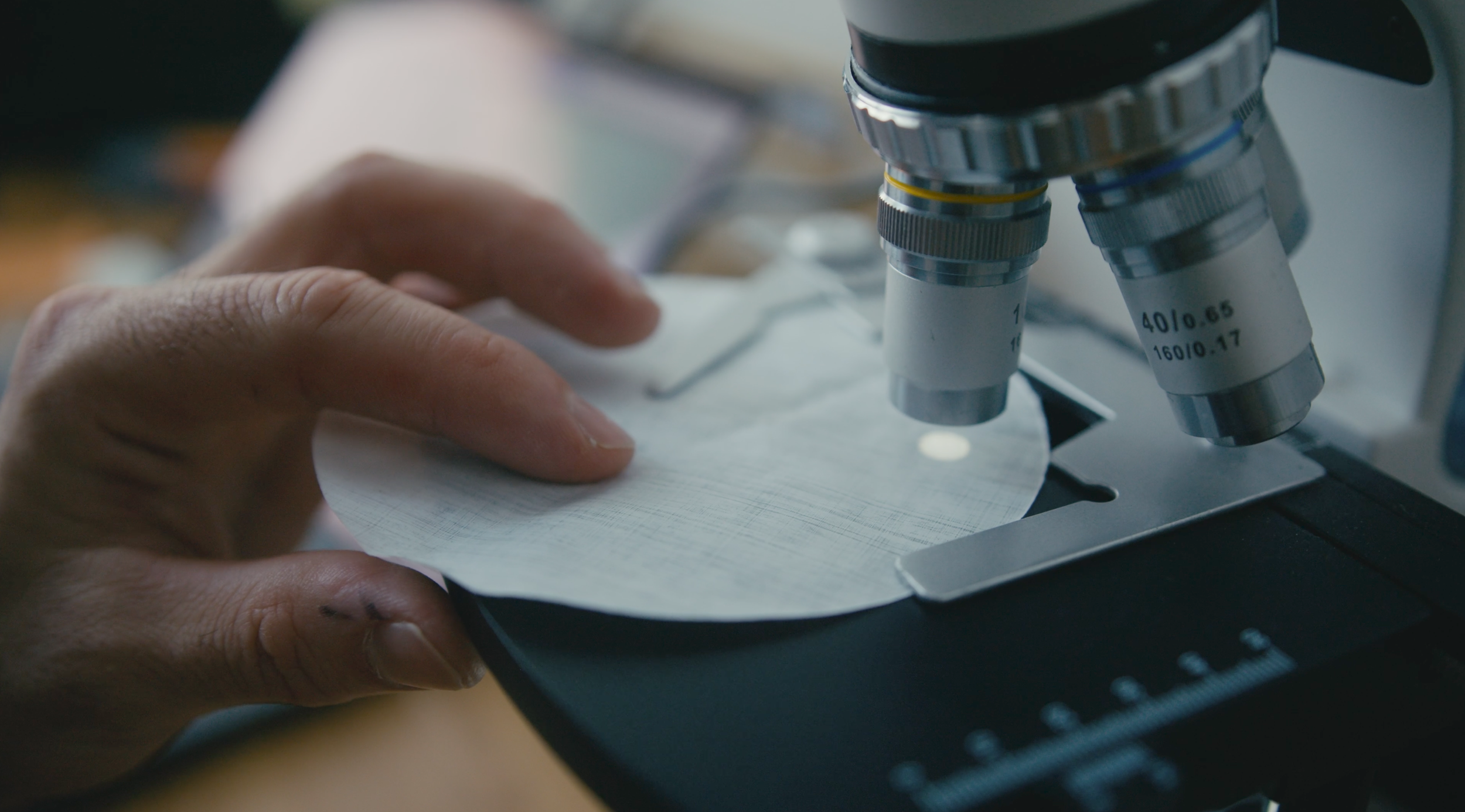 Capture d’écran 2025-08-19 à 18.37.59.png