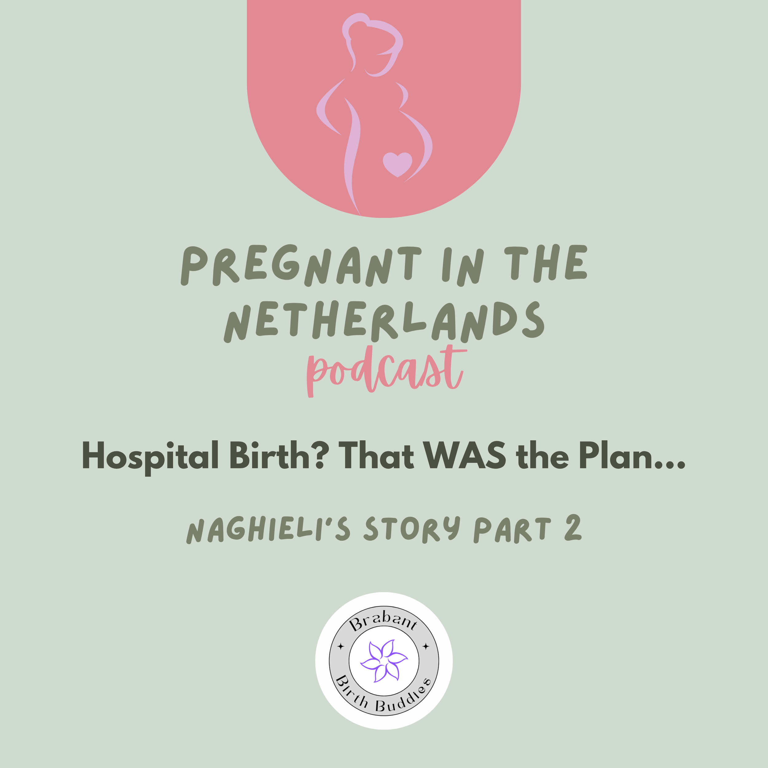 Episode 15: Hospital Birth? That WAS the Plan…