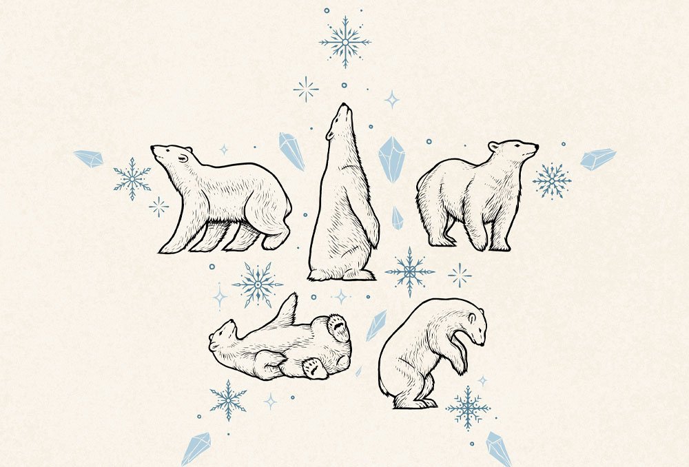 Festive polar bears