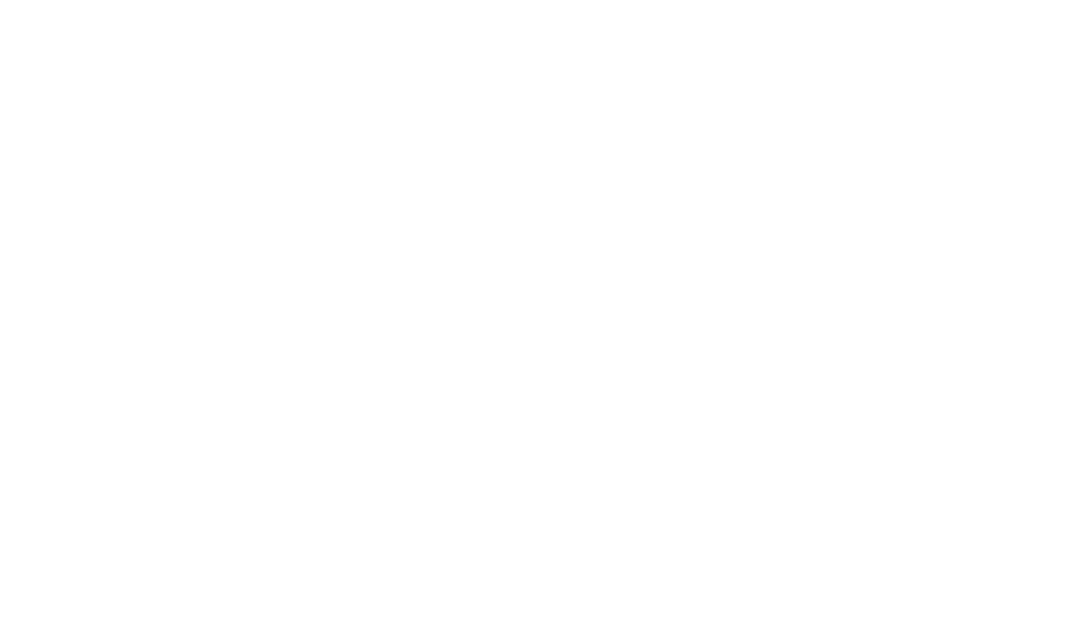 AVR Group