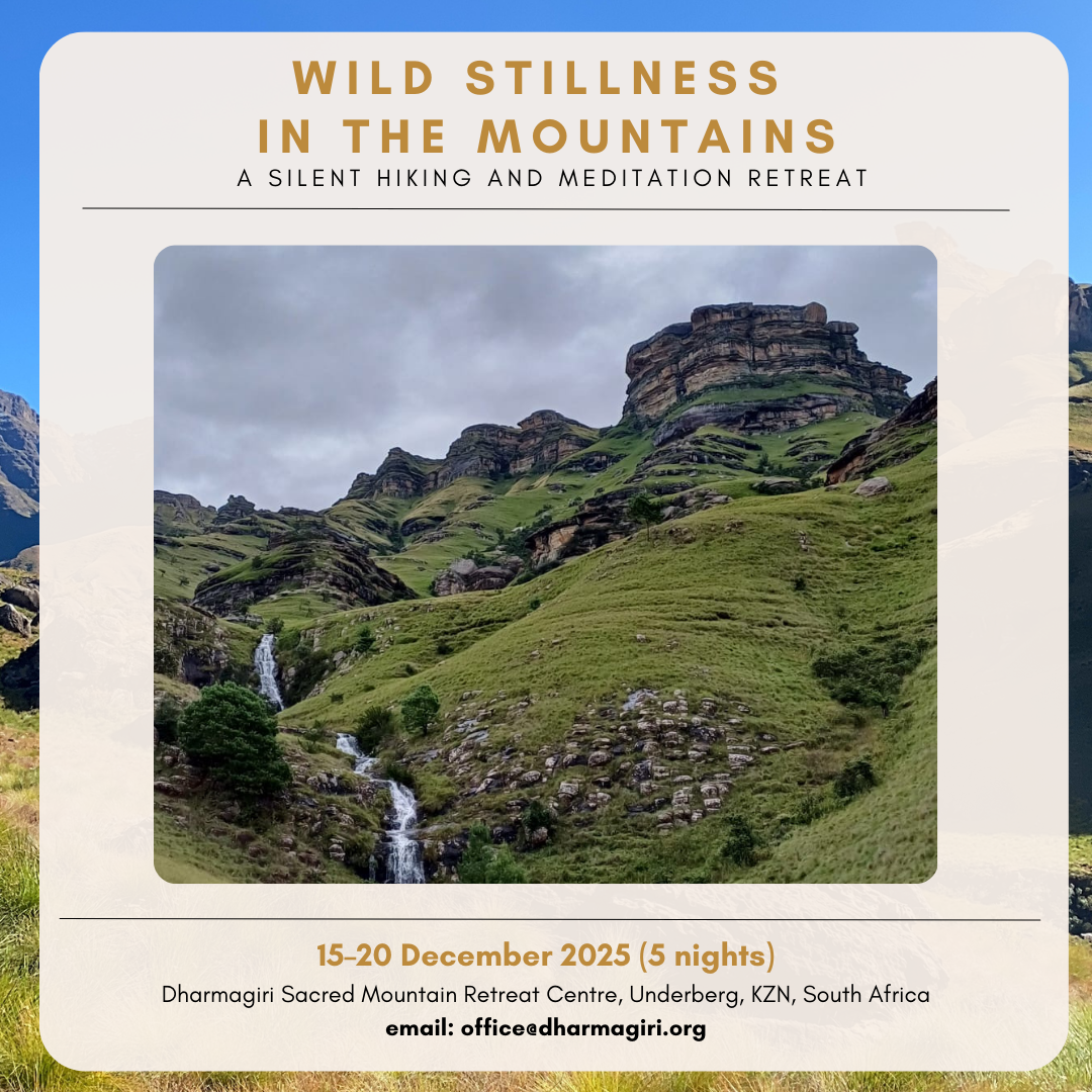 Wild Stillness in the Mountains: Summer Hiking & Meditation Retreat