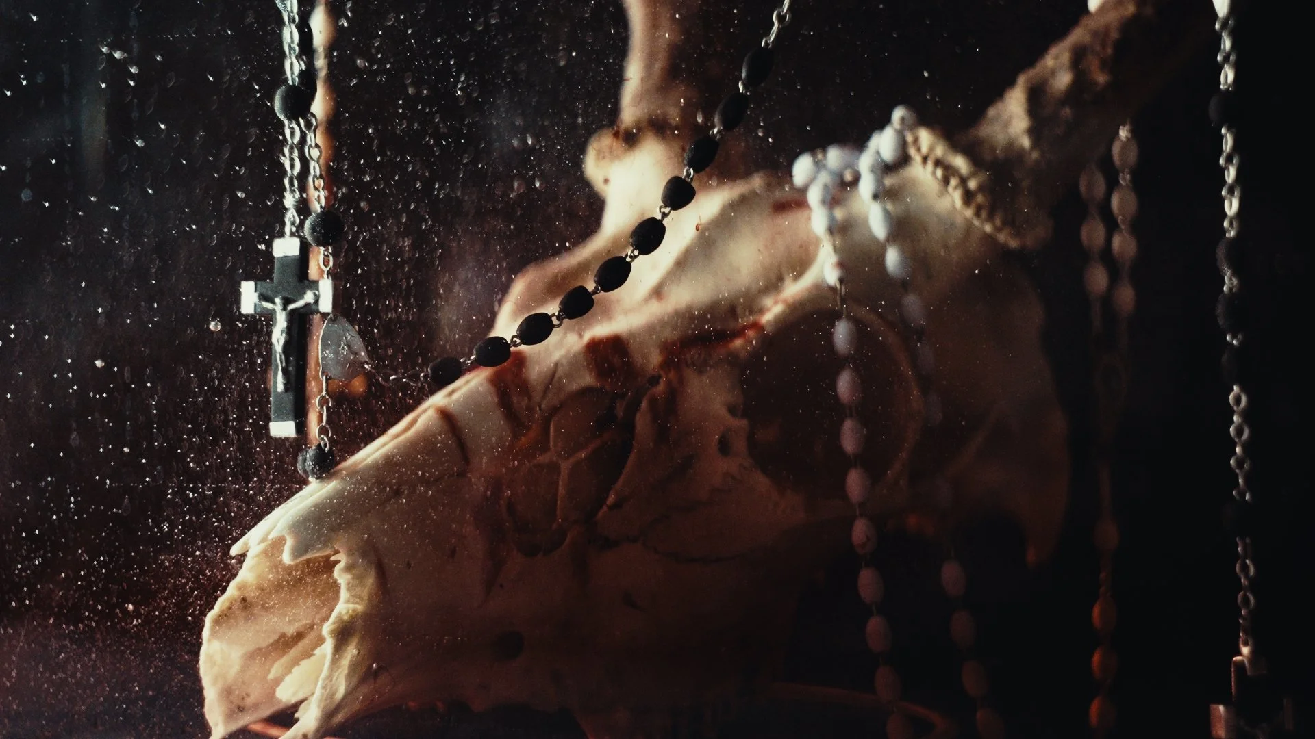 Still 2025-11-13 083123_1.116.1.jpg