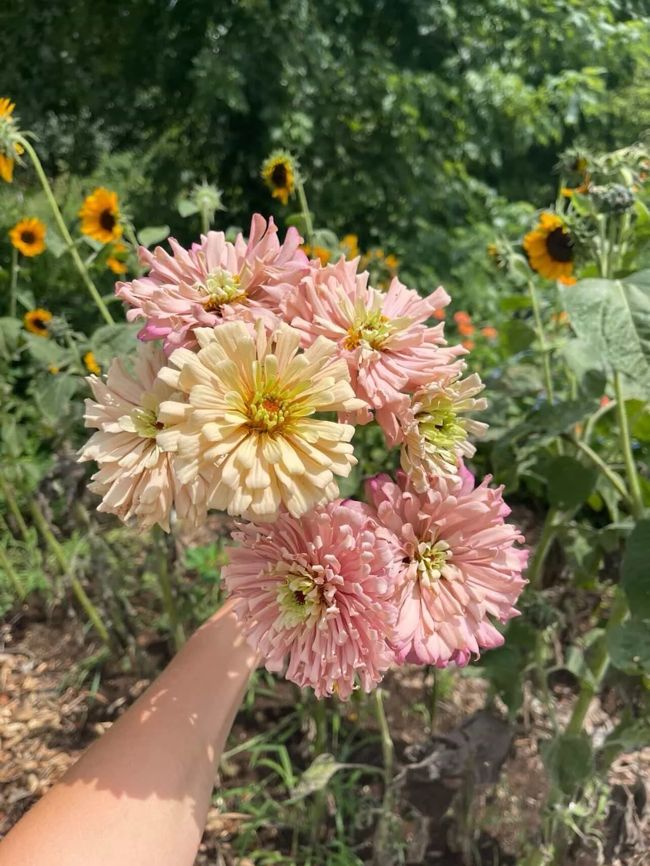 2 weeks away from our 1 year anniversary event 🌸 come celebrate this little milestone with us. Flowers from @phoebes.flower.farm, sip &amp; shop with spring refreshers, new Fealty products &mdash; it&rsquo;s going to be a cute day 🫶🏼

March 14th f
