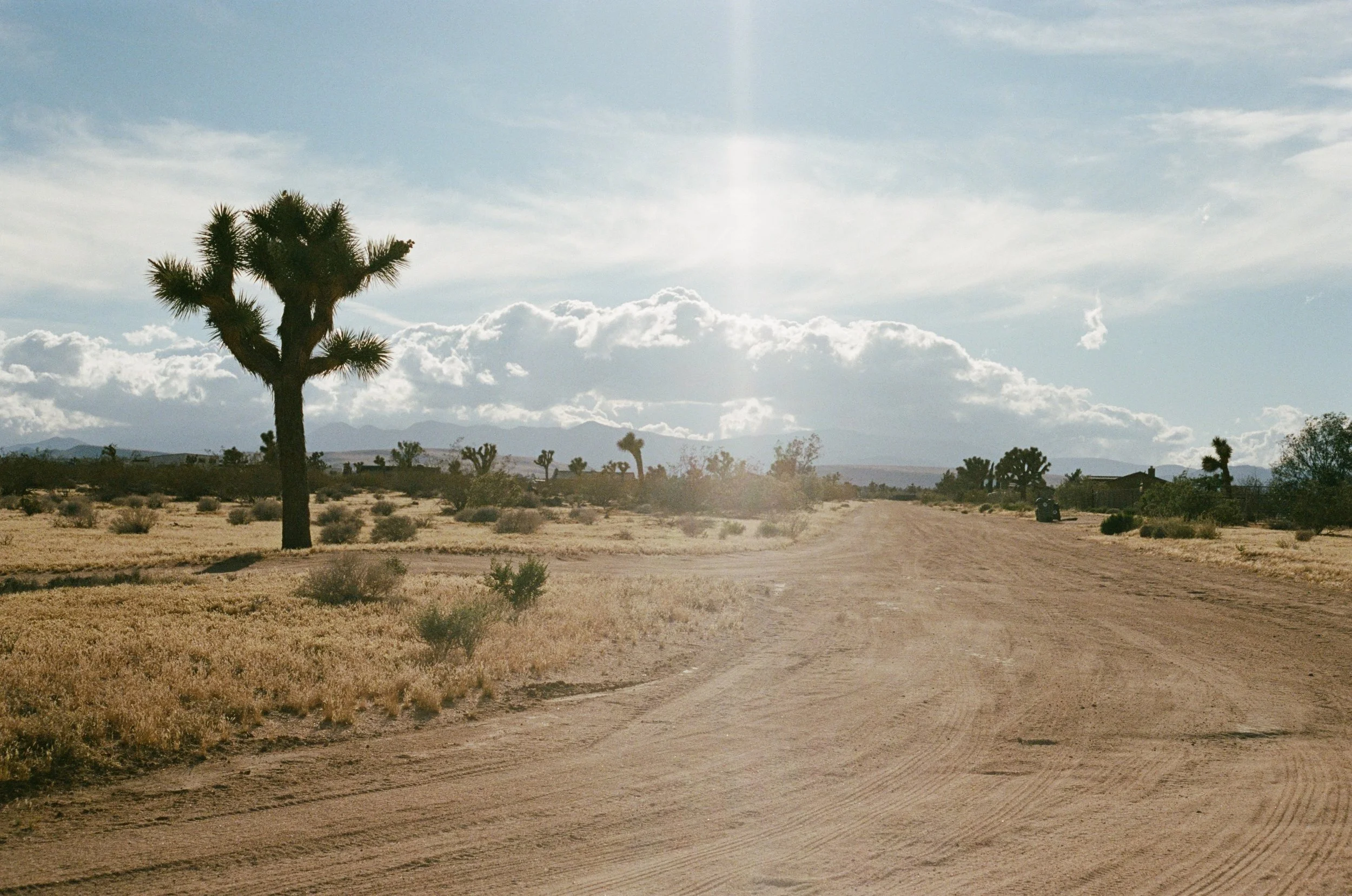 A few photos from our trip out West 🏜️ excited to add these to my Artist Gallery Print Collection online. I always select a few images from each destination we visit and make them available to purchase as framed or frameless prints. Prints can be fo
