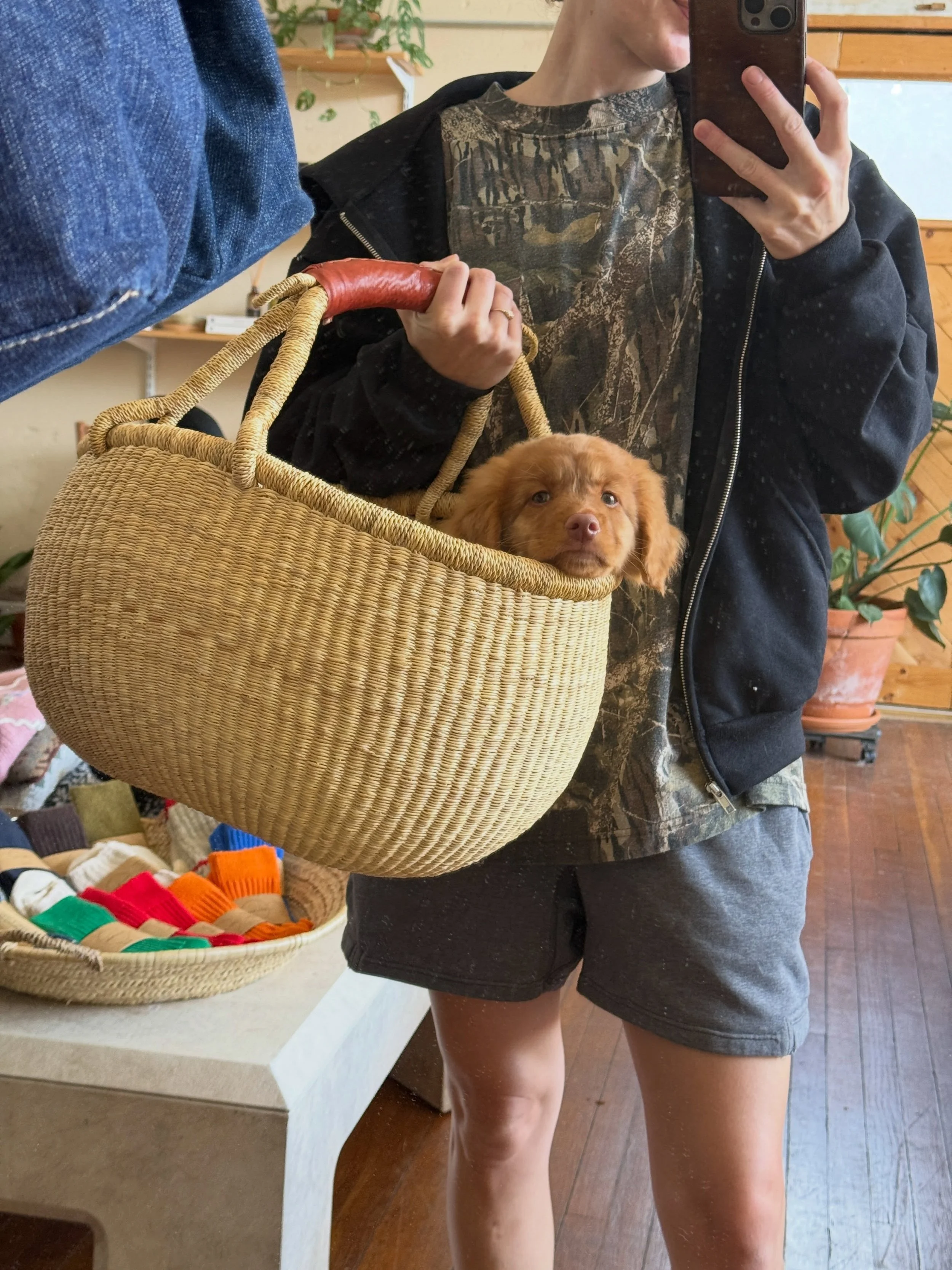 Come say hi to Roma 🍅 my little shop pup. Open today and there&rsquo;s lots of fall festivities going on in Ash Grove today! Details in my stories!