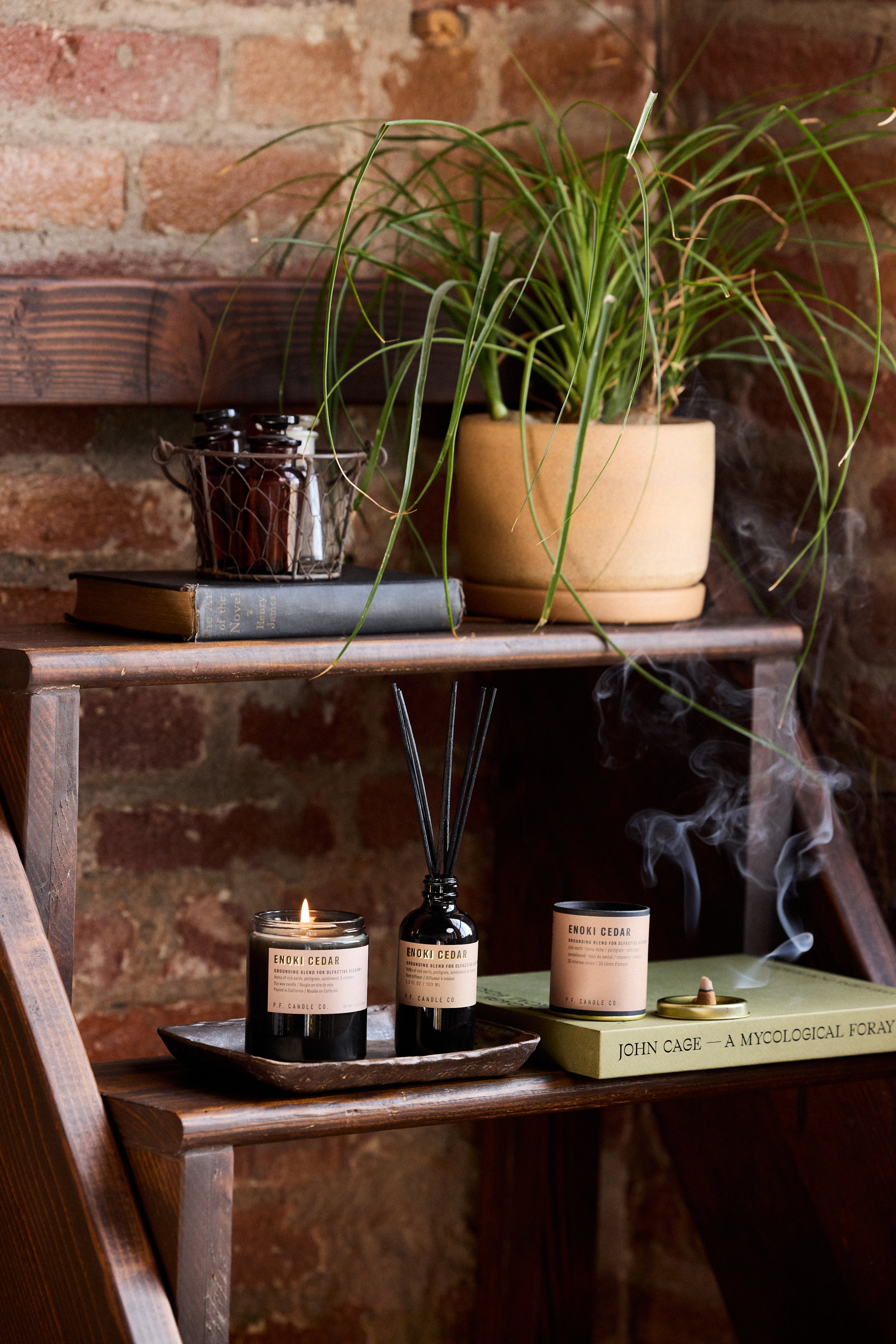 Enoki Cedar Collection Alchemy Lifestyle - 1.jpg