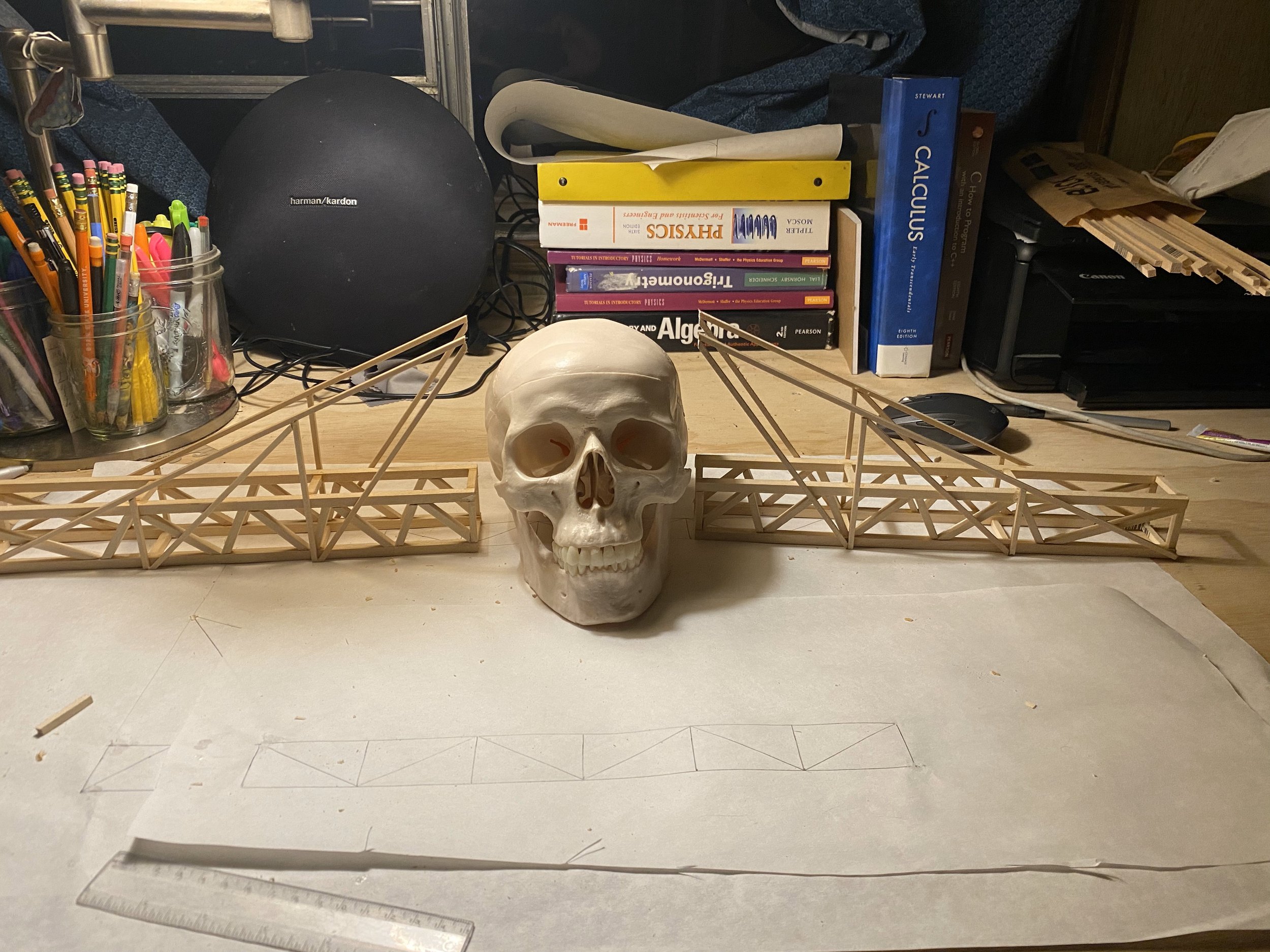 skull2.jpg