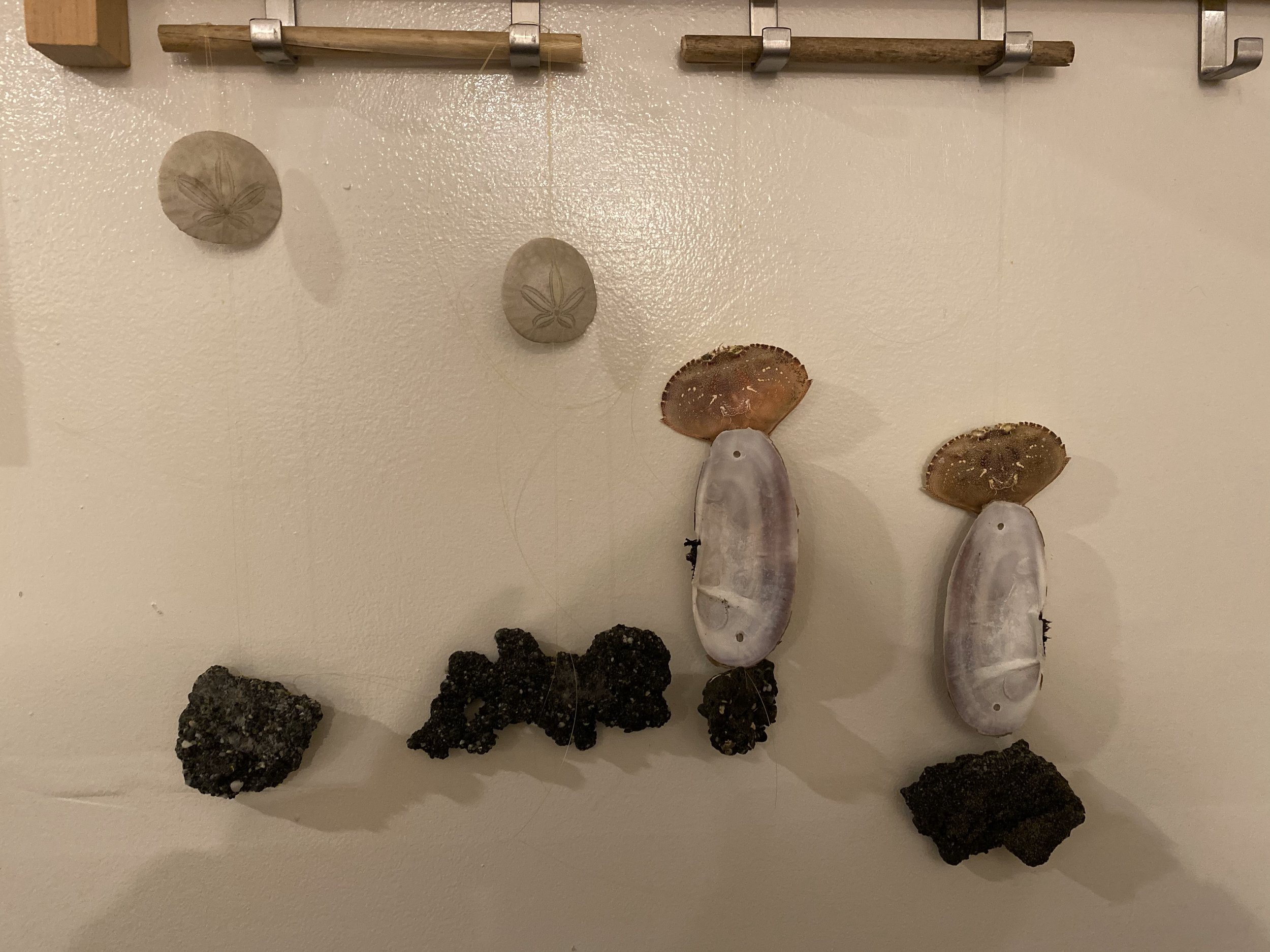 oyster.jpg