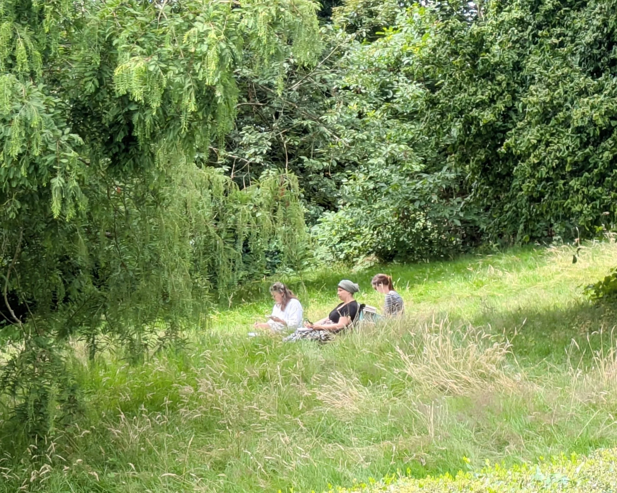 July: Ambika Social. 