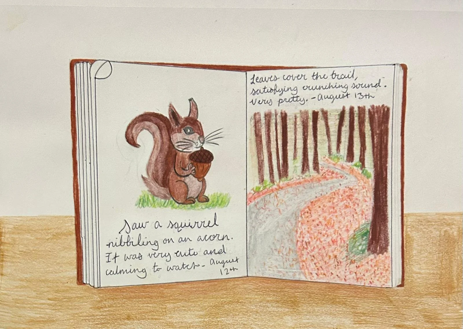 The Art of Slowing Down - Nature Journaling
