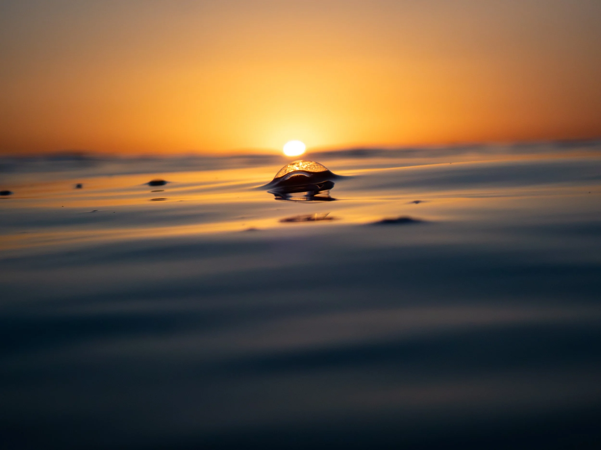 Close-up of a water droplet on the ocean surface during sunset.