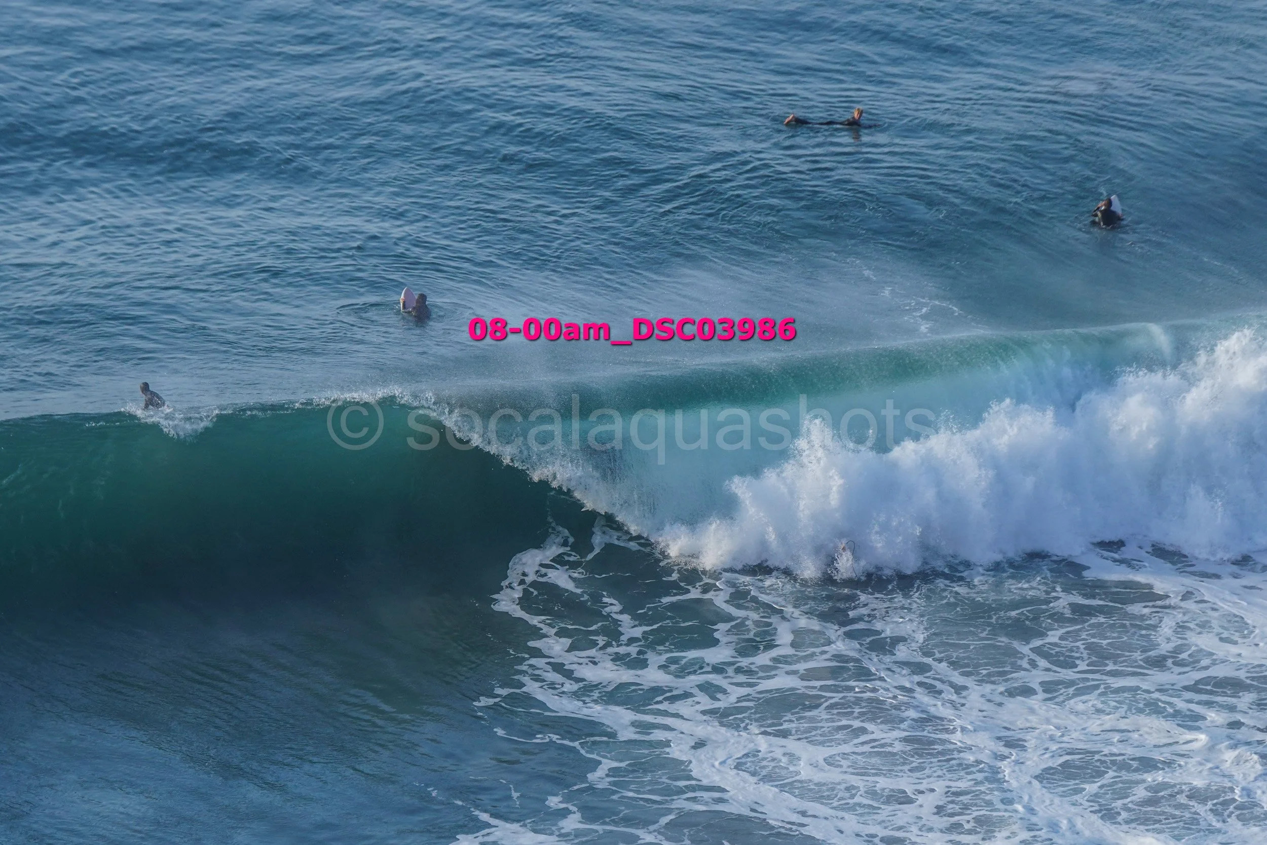 Surfing ocean waves with multiple surfers in the water.