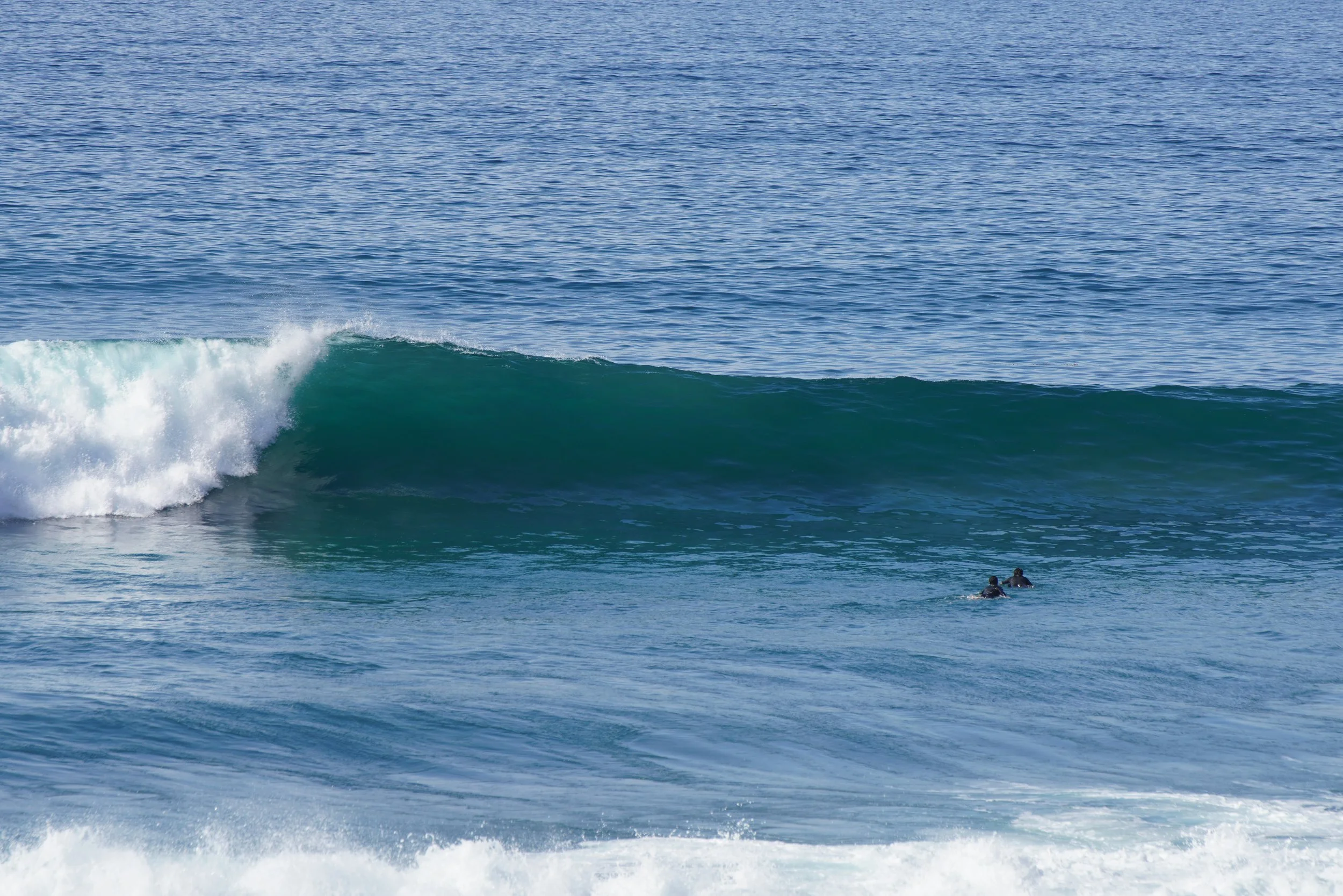 Two surfers in wetsuits riding or waiting for a wave in the ocean, with a large wave approaching.