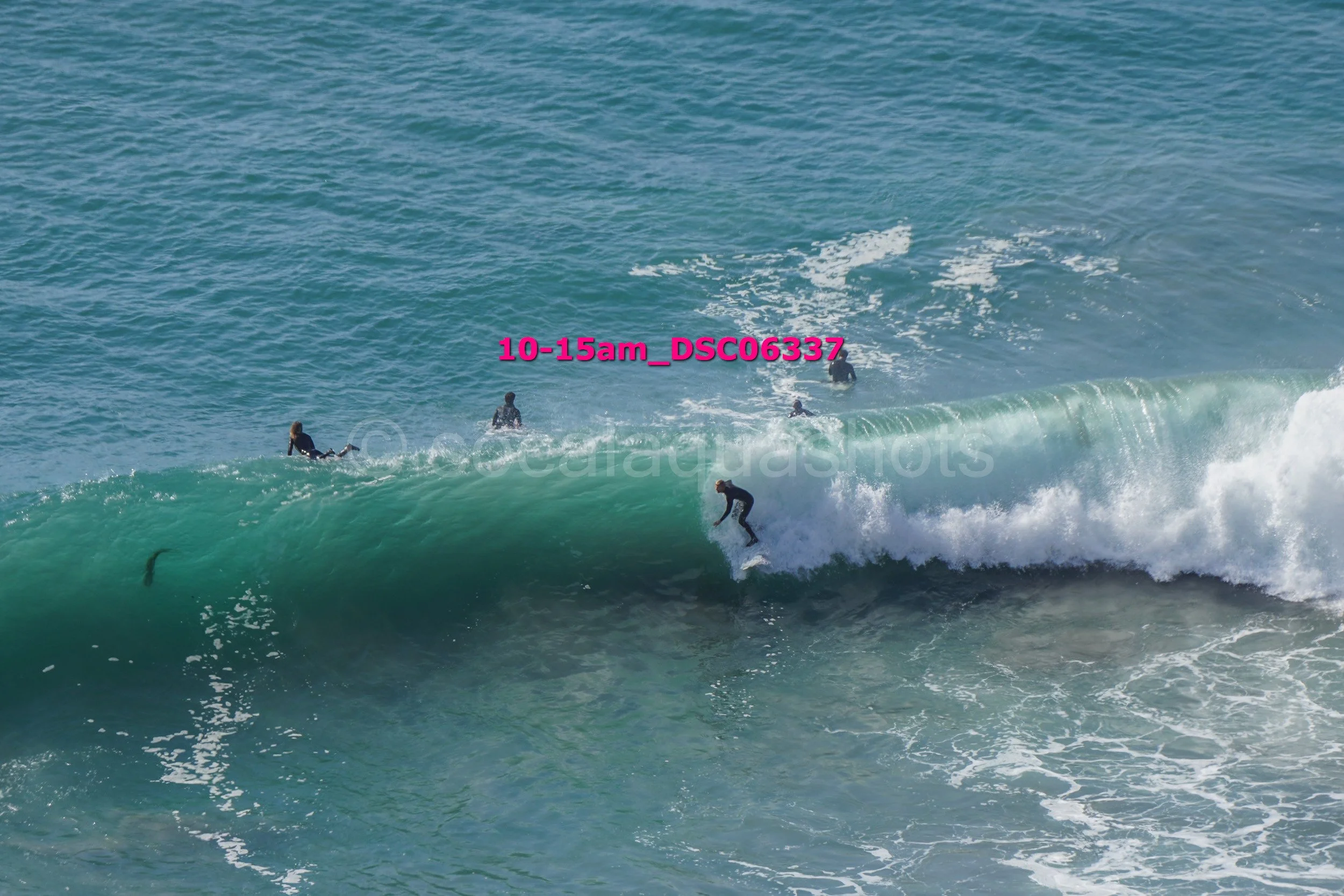 Surfer riding a wave with four people swimming in the water in the background.