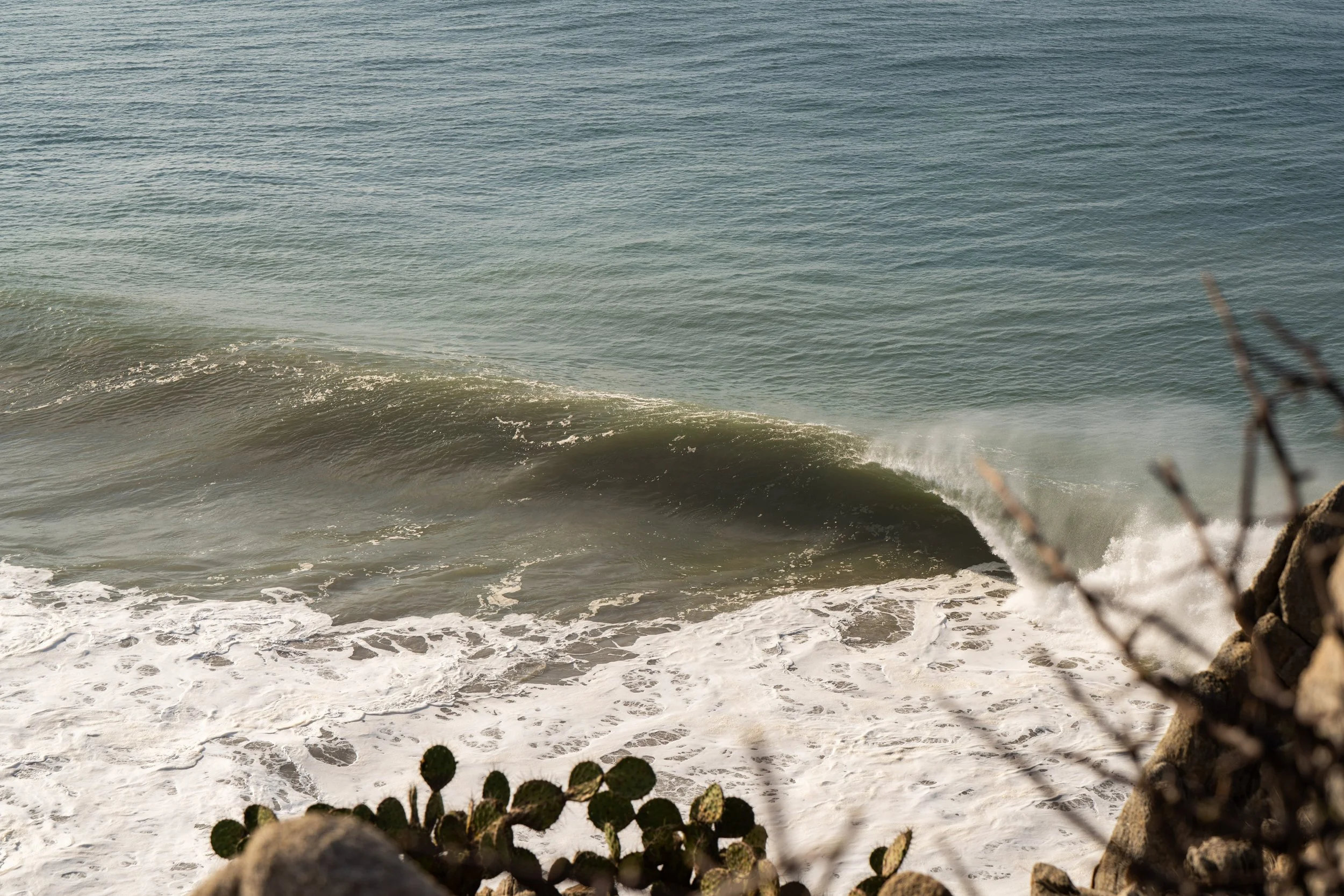 View of ocean waves breaking on the shore with rocks and cactus plants in the foreground.